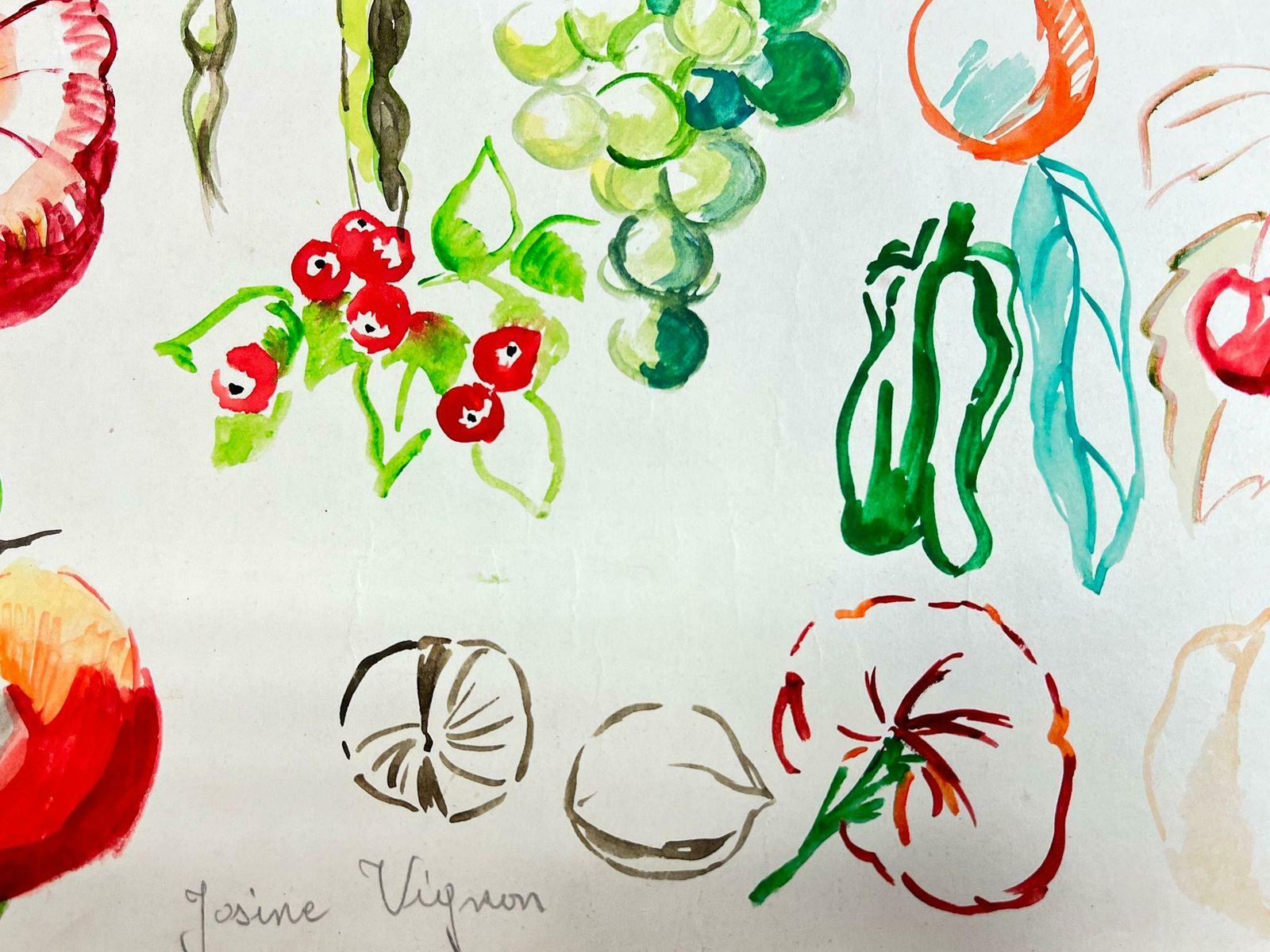 Josine Vignonmid Century French Colorful Illustration Sketches Of Different Fruits1960's photo for sale