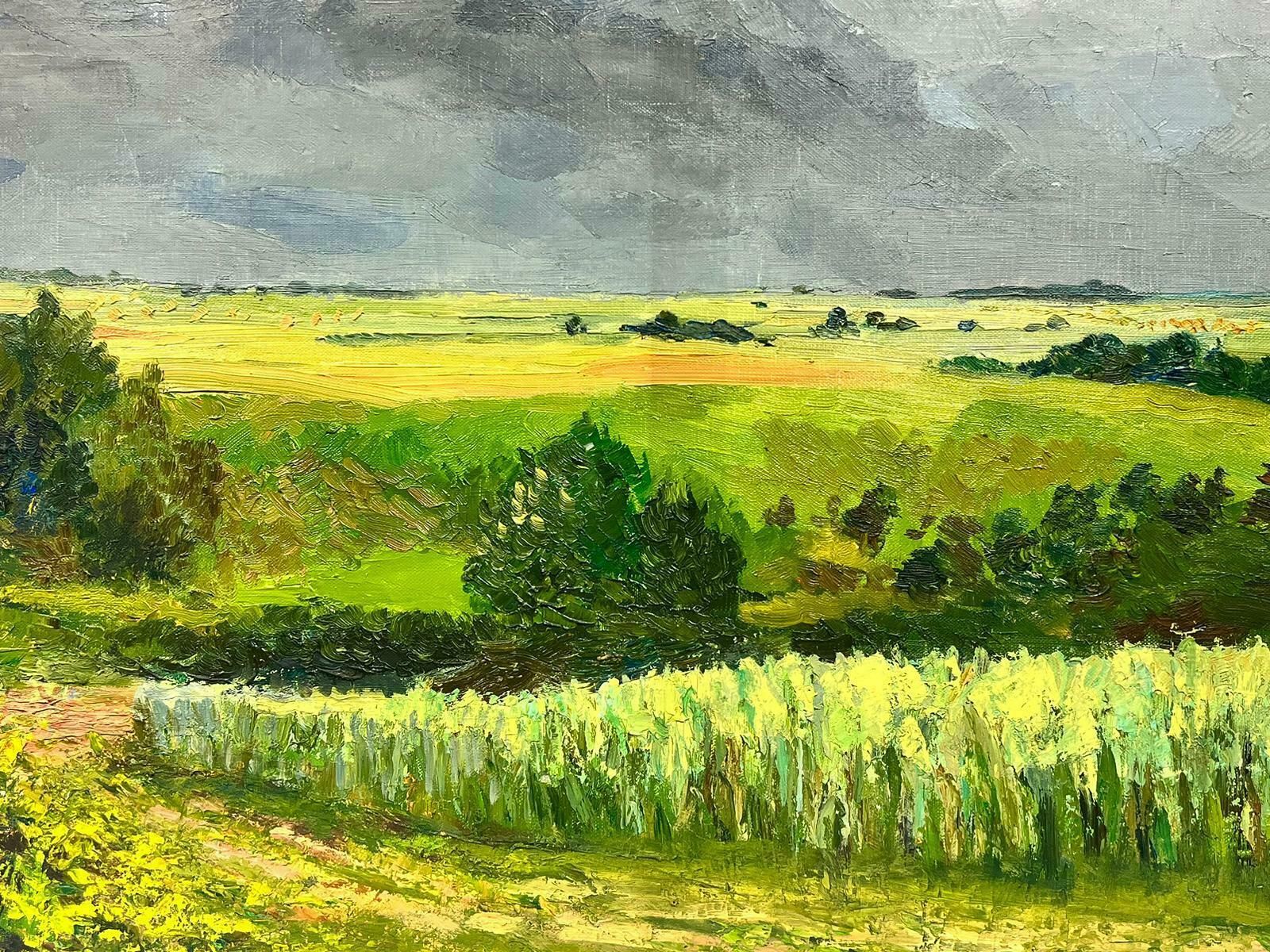 Josine Vignonbrooding Atmospheric Green Landscape Huge 1960s French Post Impressionist Oil1960's photo Art