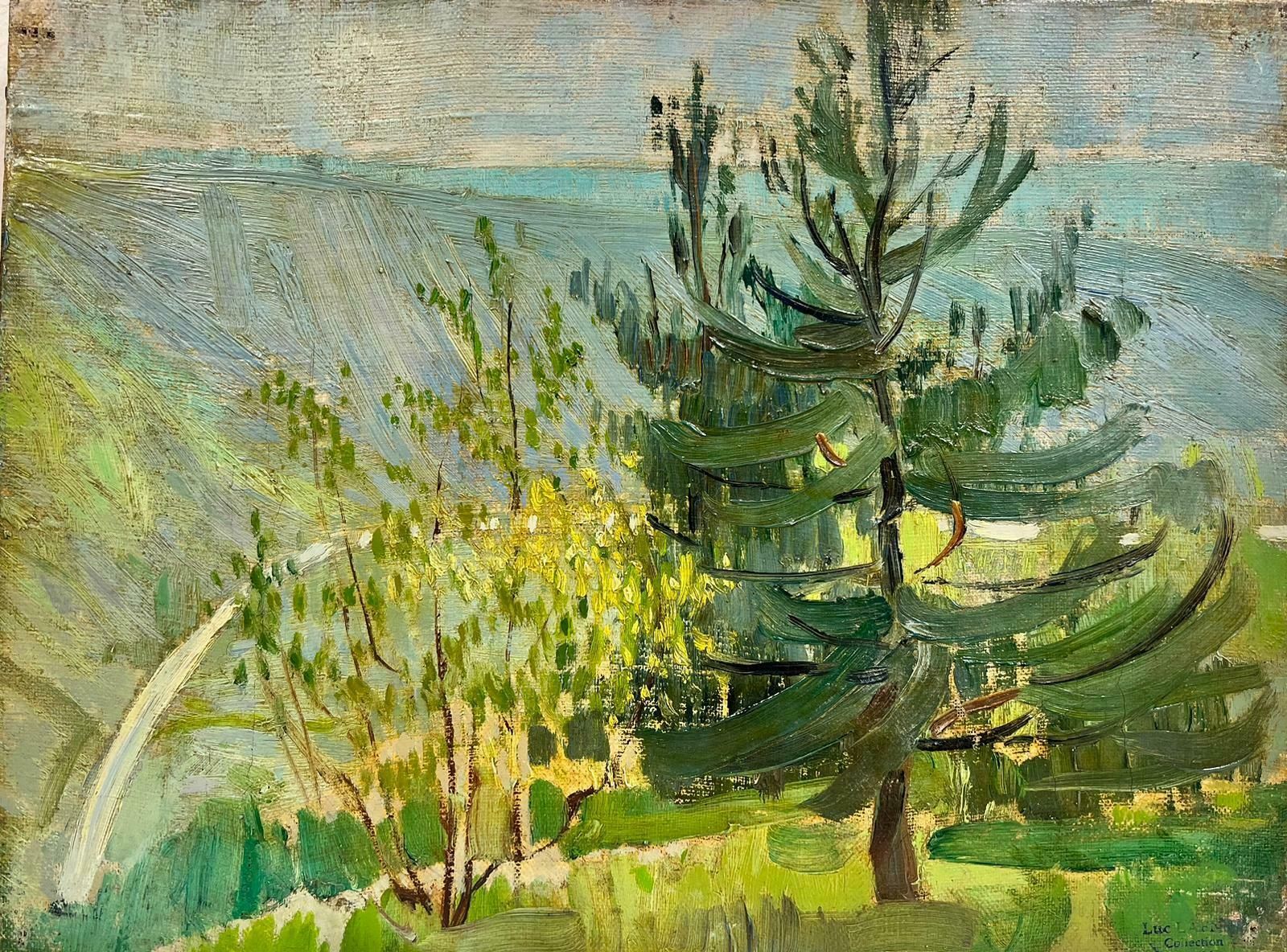 Luc Lapnet1920’s Belgian Impressionist Oil Deep Green Trees In Golden Landscape 1920’s