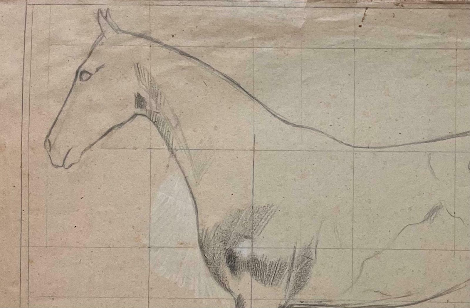 Robert Ladouoriginal French Anatomical Pencil Study Of A Horse In Profile20th Century photo for sale