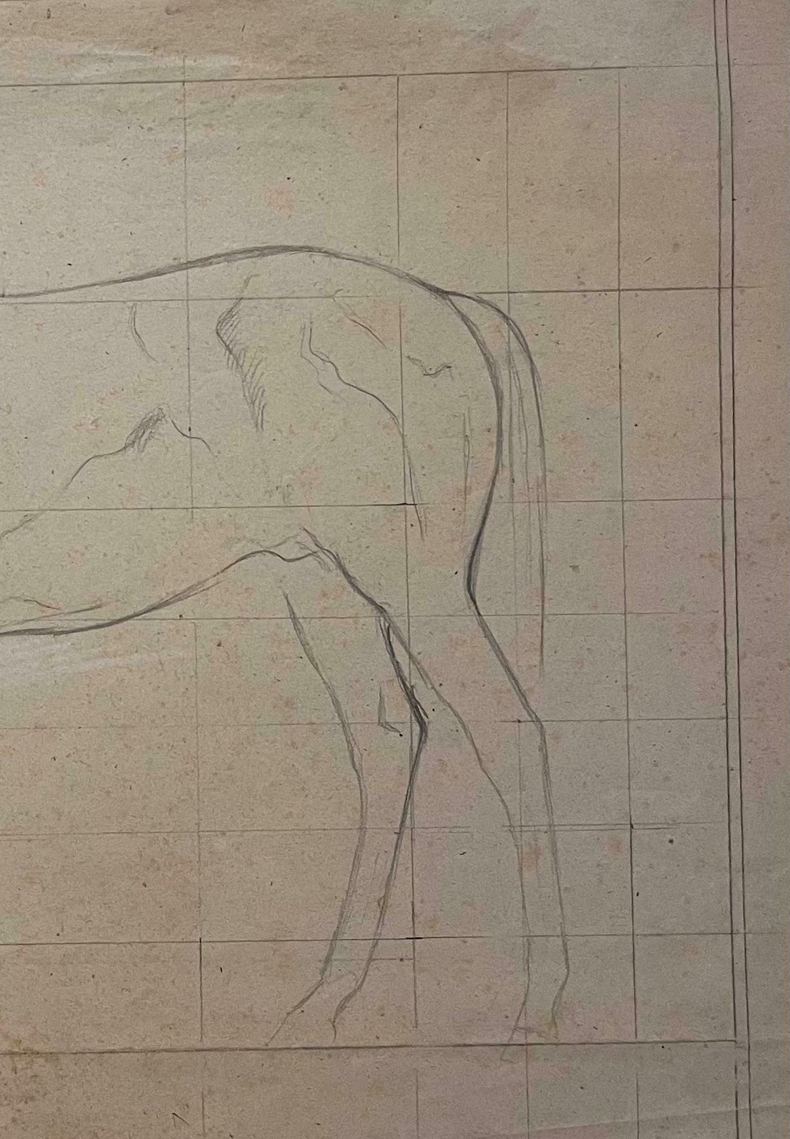 Robert Ladouoriginal French Anatomical Pencil Study Of A Horse In Profile20th Century photo 459.0