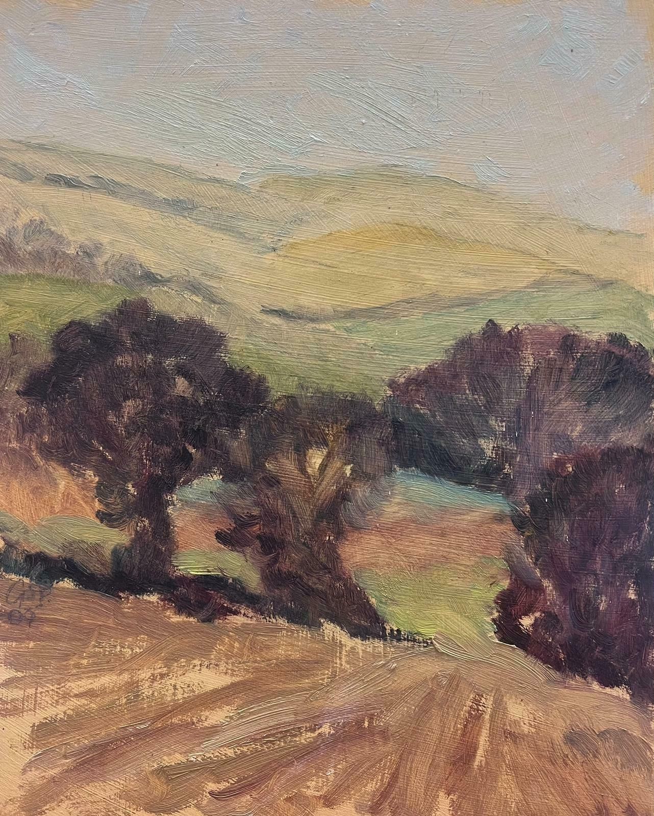 Geza Somerset Paddonautumnal Brown Trees Landscape Contemporary British Oil Painting photo 561.0