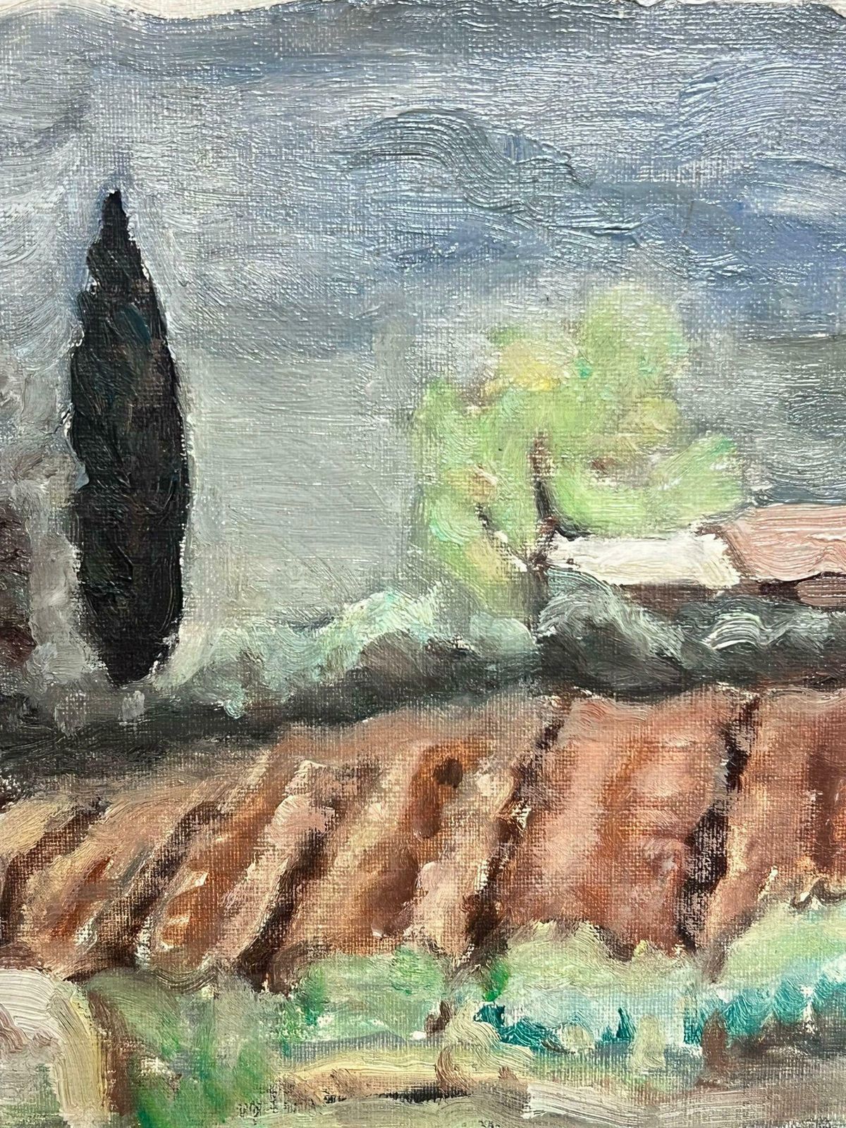 French Schoolmid 20th Century French Post Impressionist Oil Sludgy Green Provence Landscape1960's photo Art