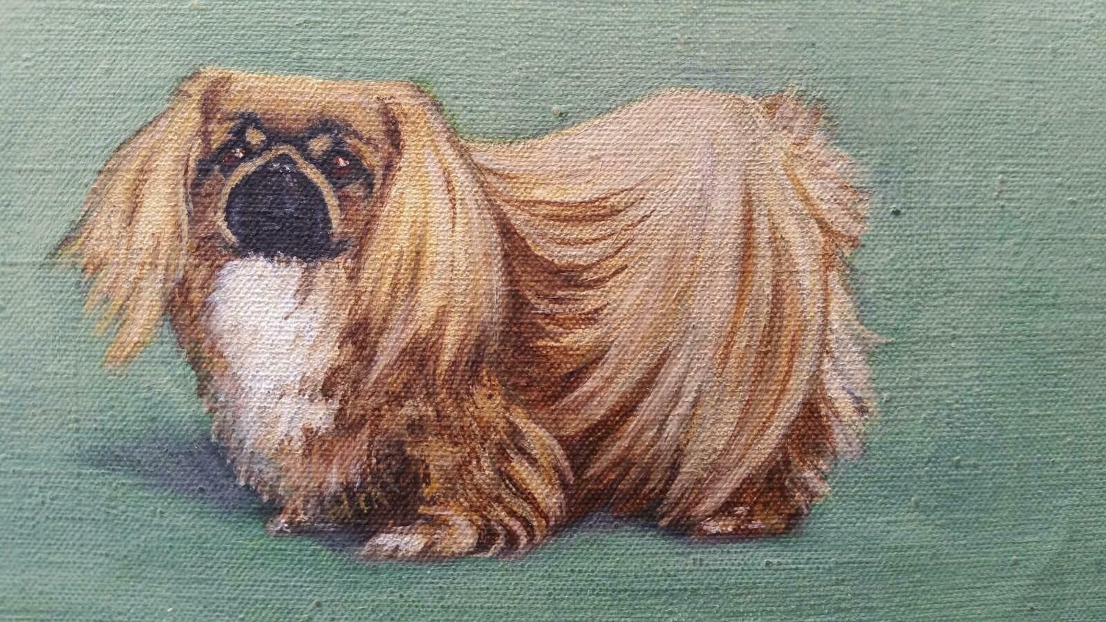 Dorothy Alexandra Johnsonenglish School Mid 20th Century Oil Painting: Pekingese Dogc 1950s