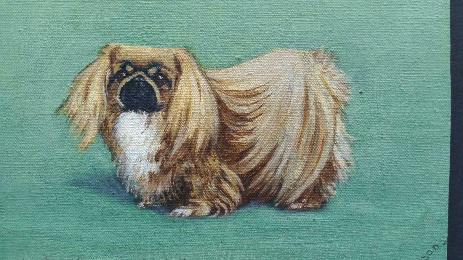Dorothy Alexandra Johnsonenglish School Mid 20th Century Oil Painting: Pekingese Dogc 1950s photo Art