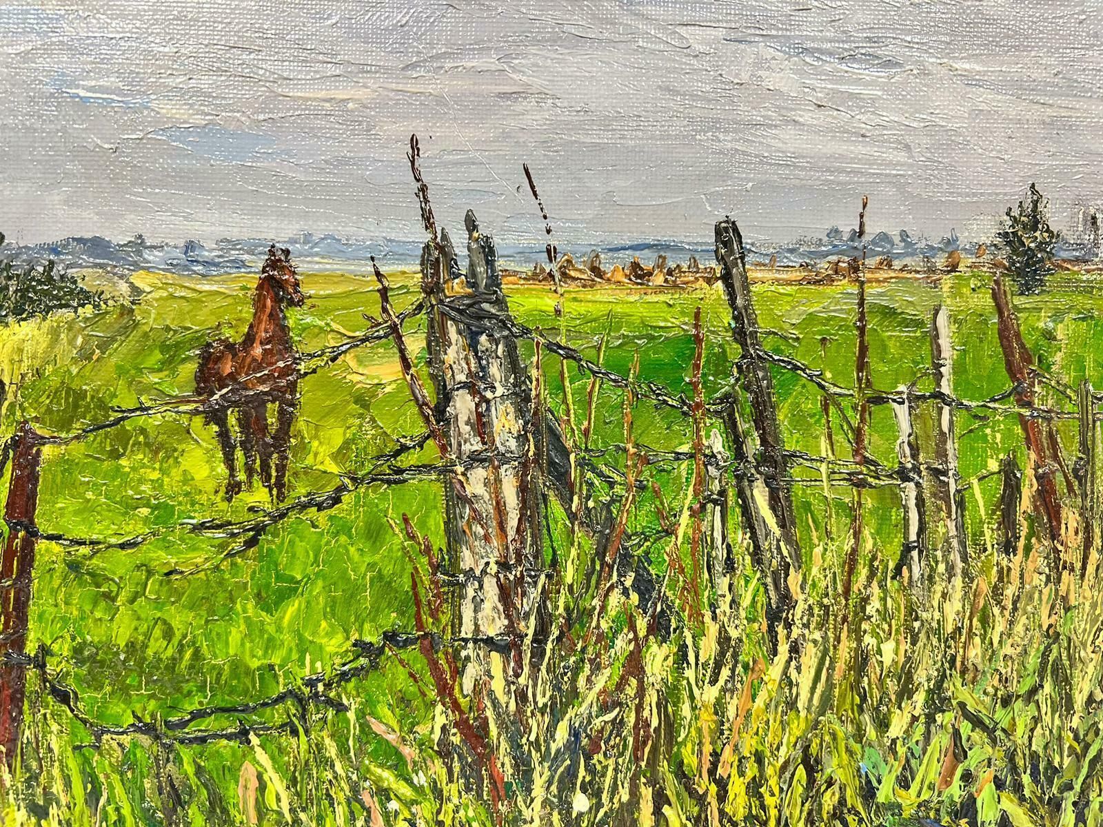 Josine Vignonbrown Arabian Horse In Wired Green Field Thick Oil Impasto1960's photo for sale