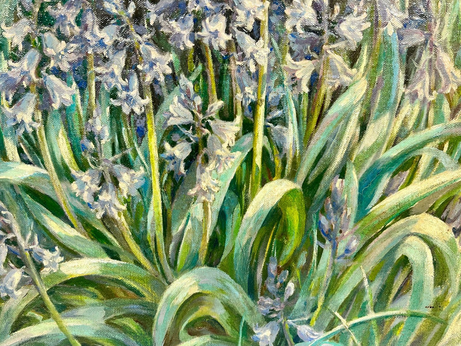 Aileen C.Eagletonbluebell Woodland Impressionist Oil Landscape Signed English Artist photo Art