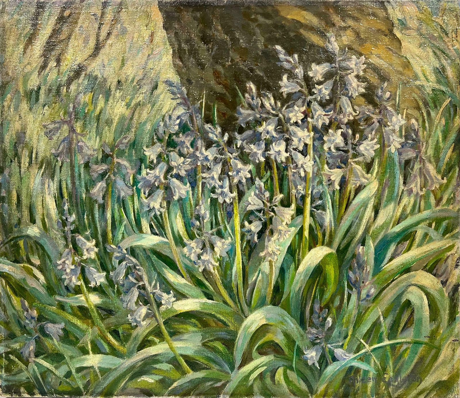 Aileen C.Eagletonbluebell Woodland Impressionist Oil Landscape Signed English Artist photo 994.0