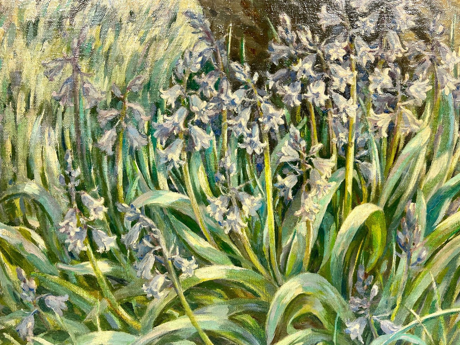 Aileen C.Eagletonbluebell Woodland Impressionist Oil Landscape Signed English Artist photo vintage