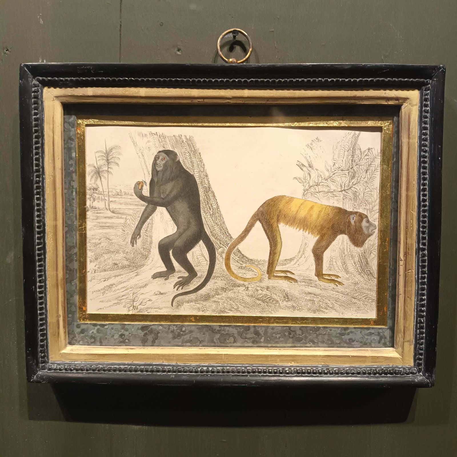 19th Century Framed Monkey Pictures photo furniture