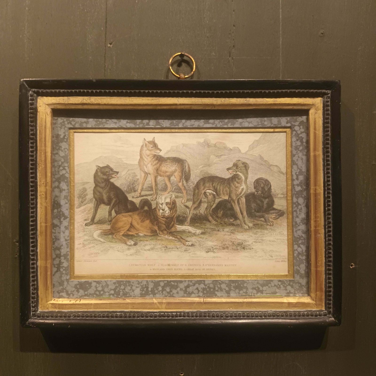19th Century Framed Dog Engraving Pictures photo furniture