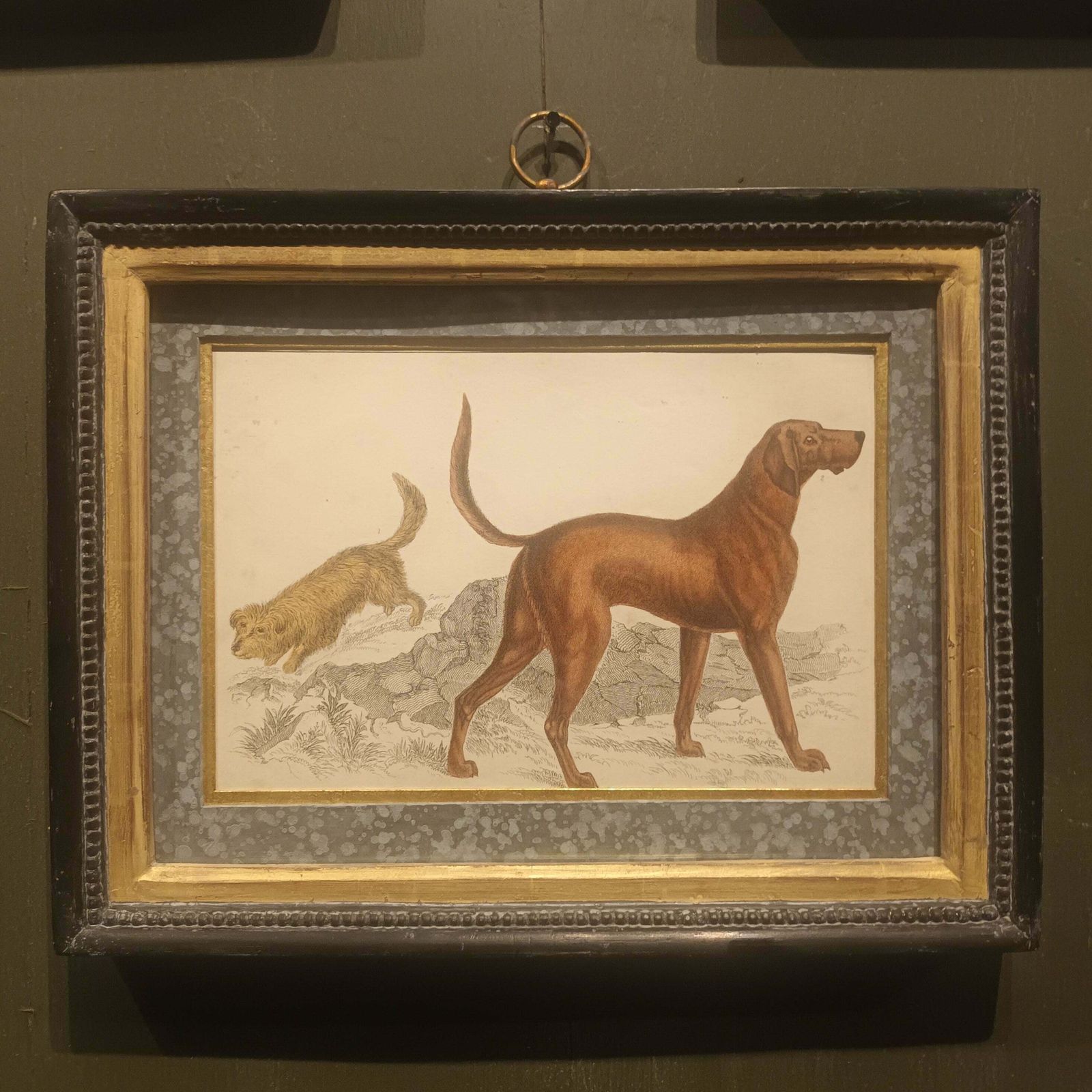 19th Century Framed Dog Engraving Pictures photo Art