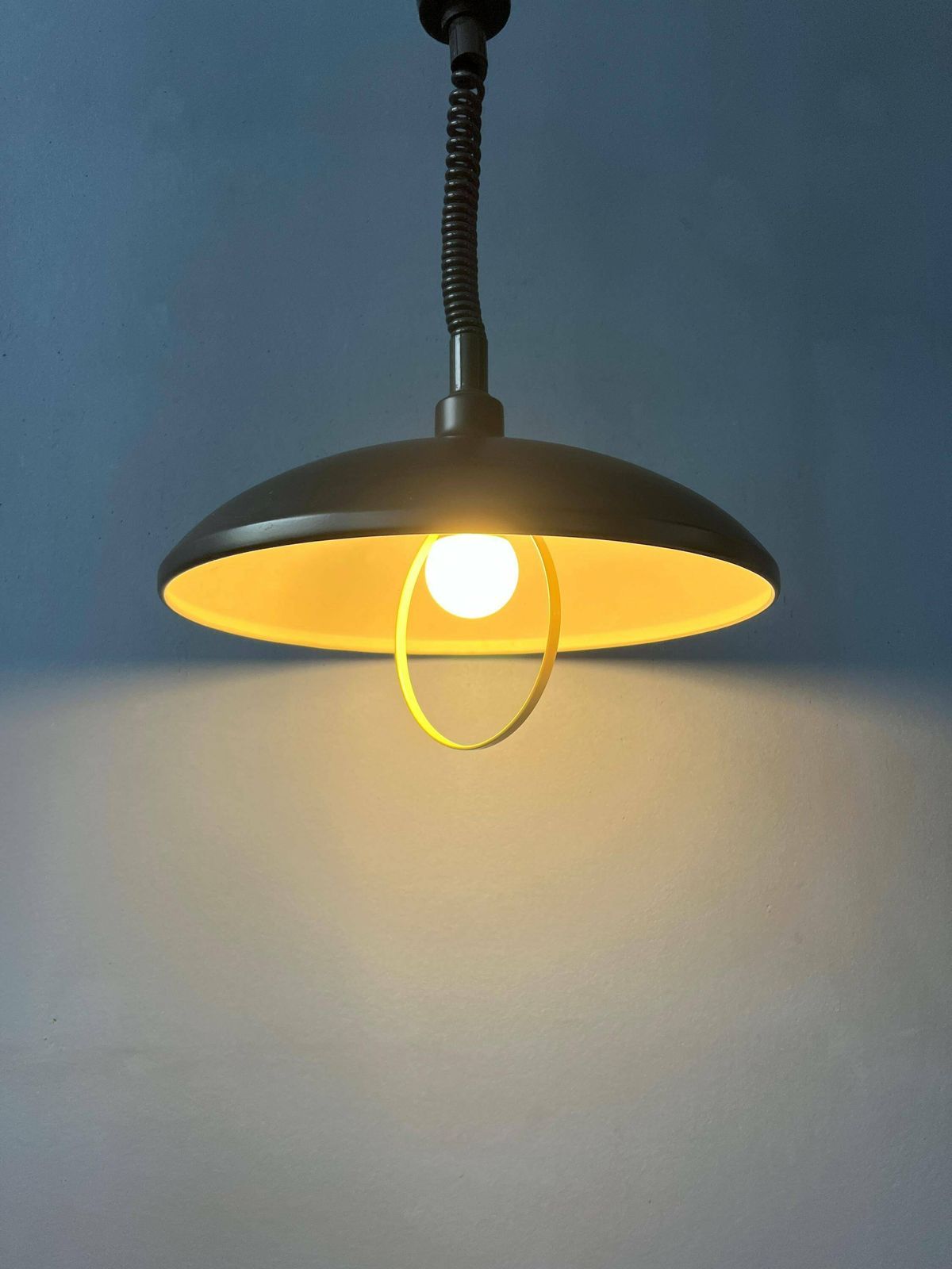 Oval Black Mid Century Metal Mid Century Pendant Lamp photo 226.0