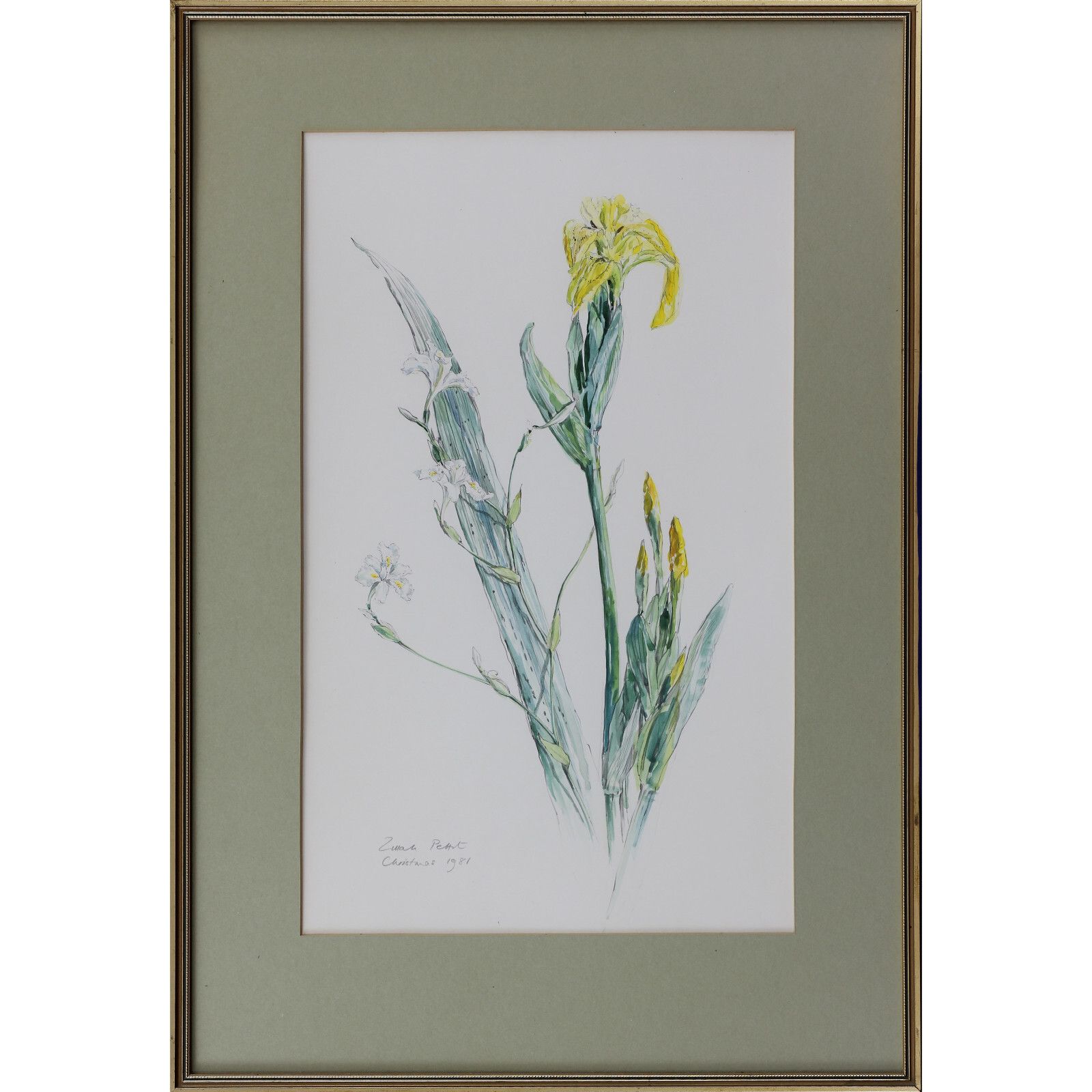 A Pair Of Watercolours By Zillah Pettit. Subject Is Flowers, Arum And Iris.