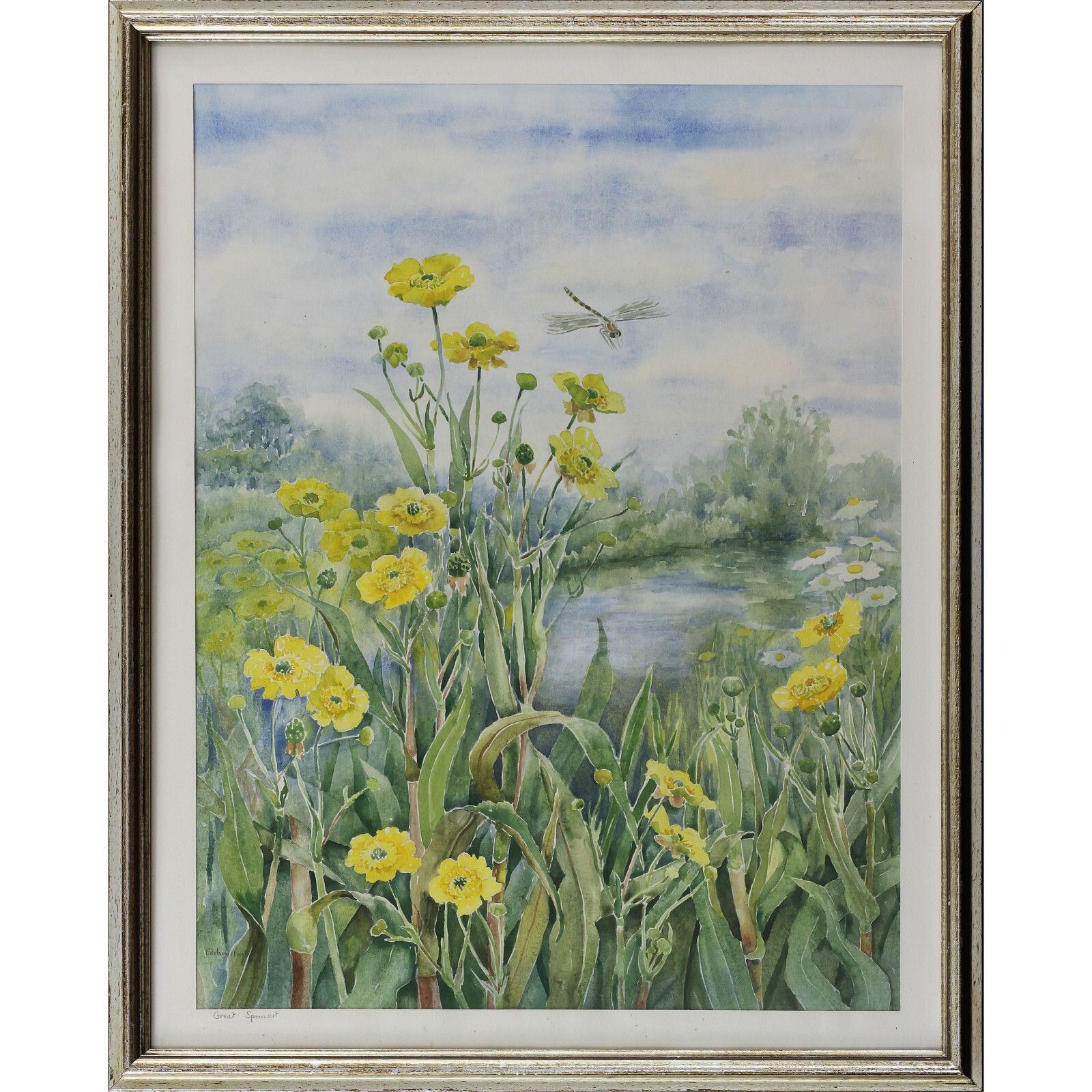 Watercolour By Barbara Booth. Title Is "Great Spearwort".