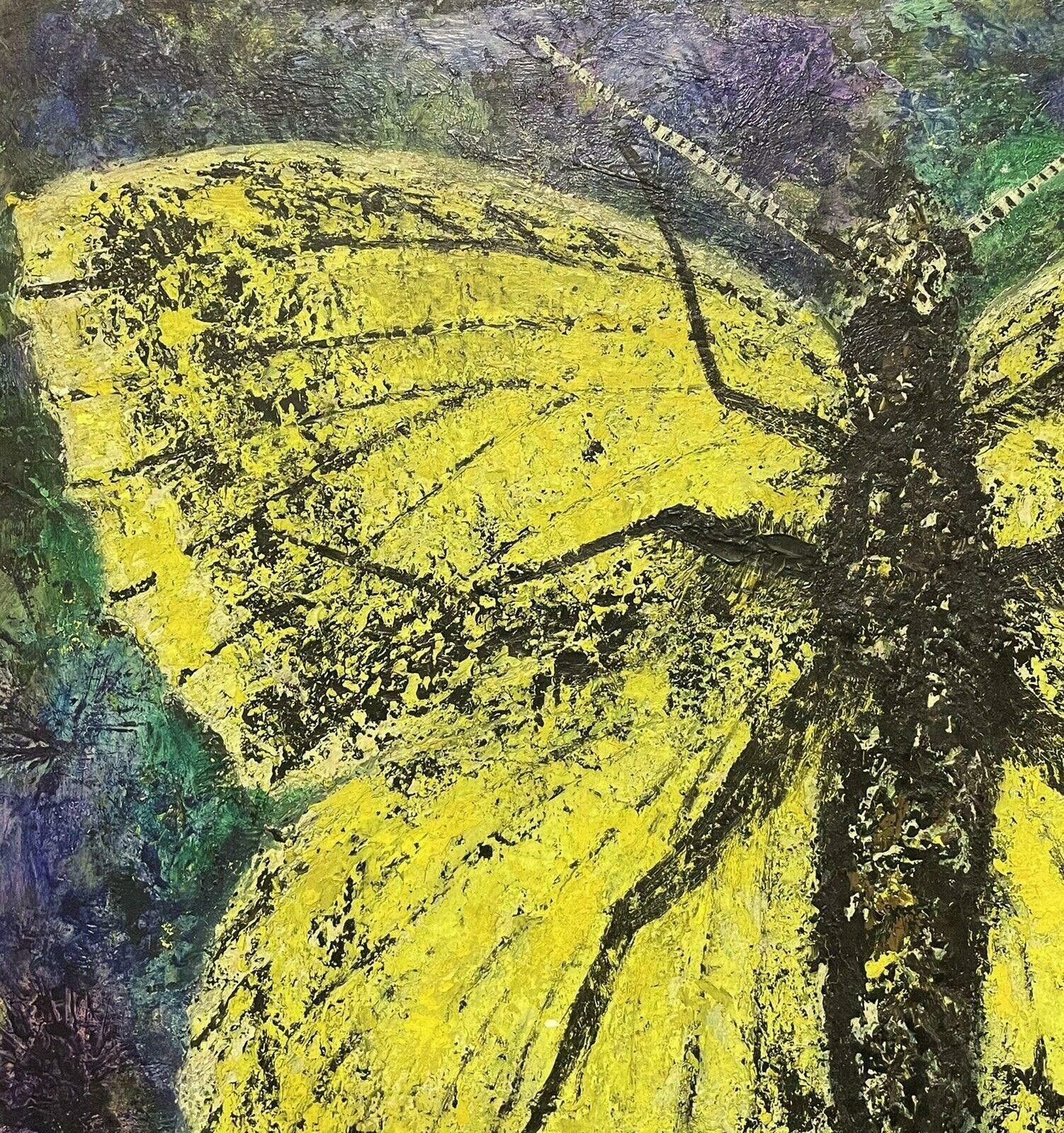 Unknownstunning 1970's French Expressionist Signed Oil   Giant Butterfly/ Moth Paintingc. 1970's photo 3571.0