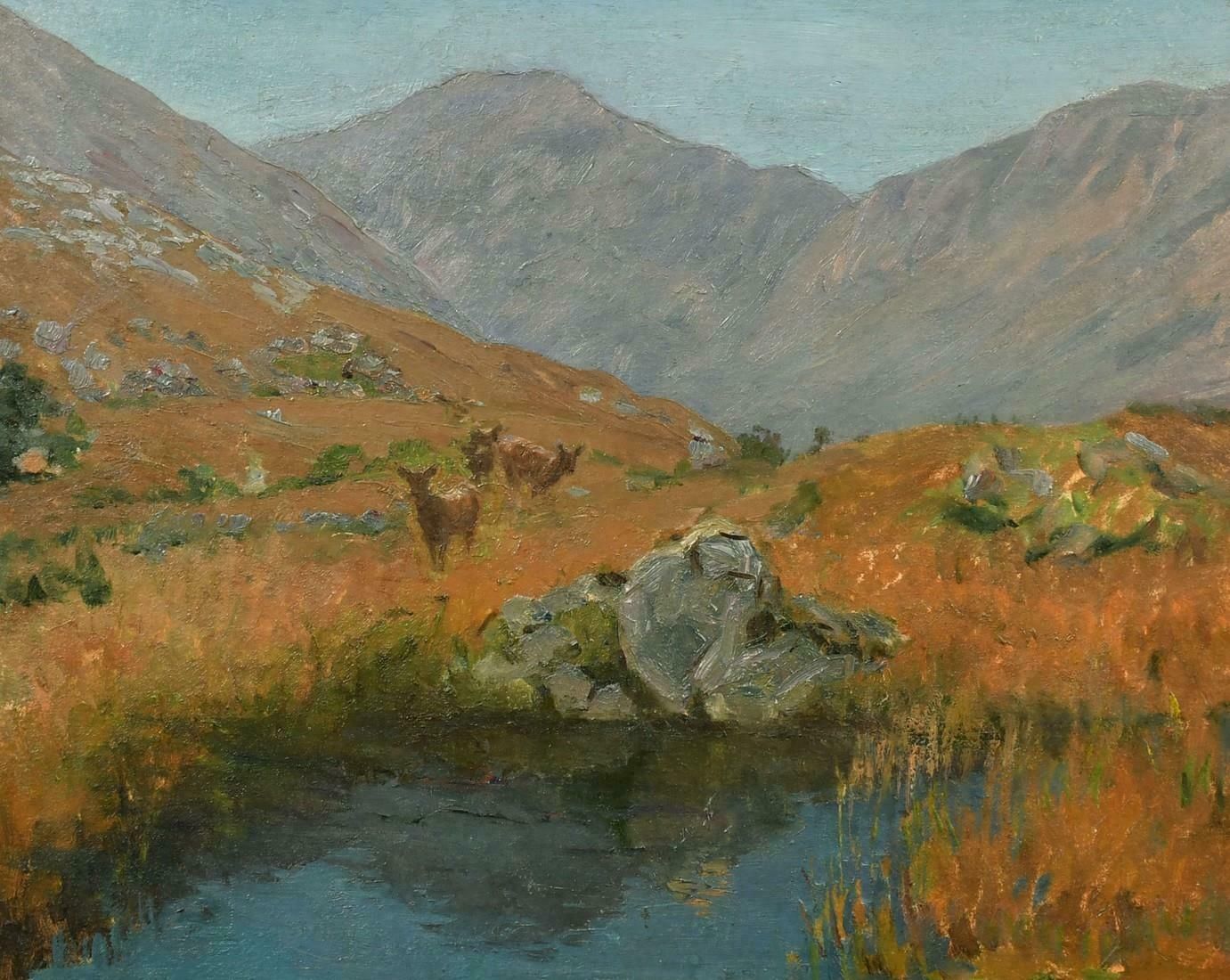 Scottish Schoolyoung Deer In Summer Scottish Highland Glen By Pool Of Water20th Century