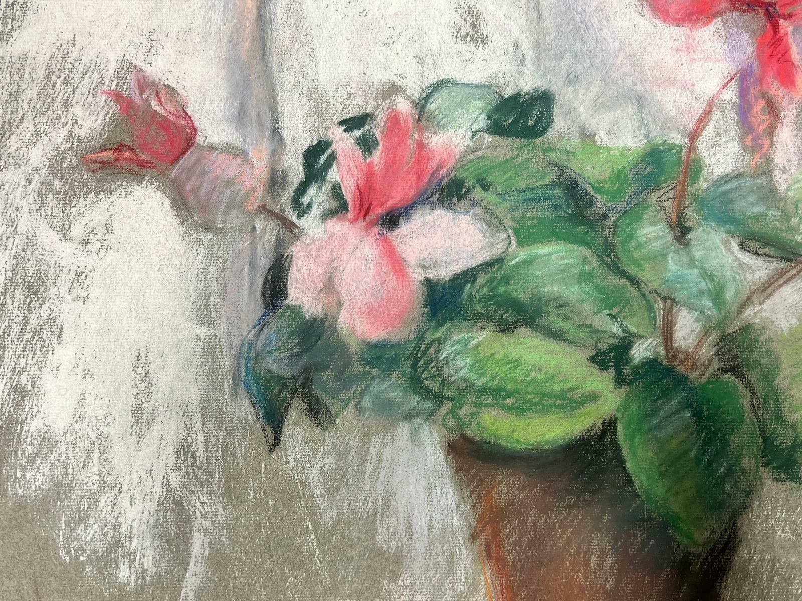 Josine Vignonmid Century French Illustration Sketch Pink Plant Pot1960's photo Art