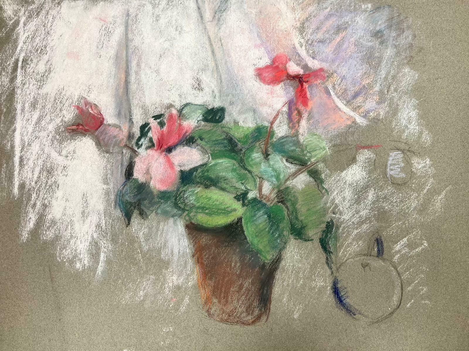 Josine Vignonmid Century French Illustration Sketch Pink Plant Pot1960's photo vinterior