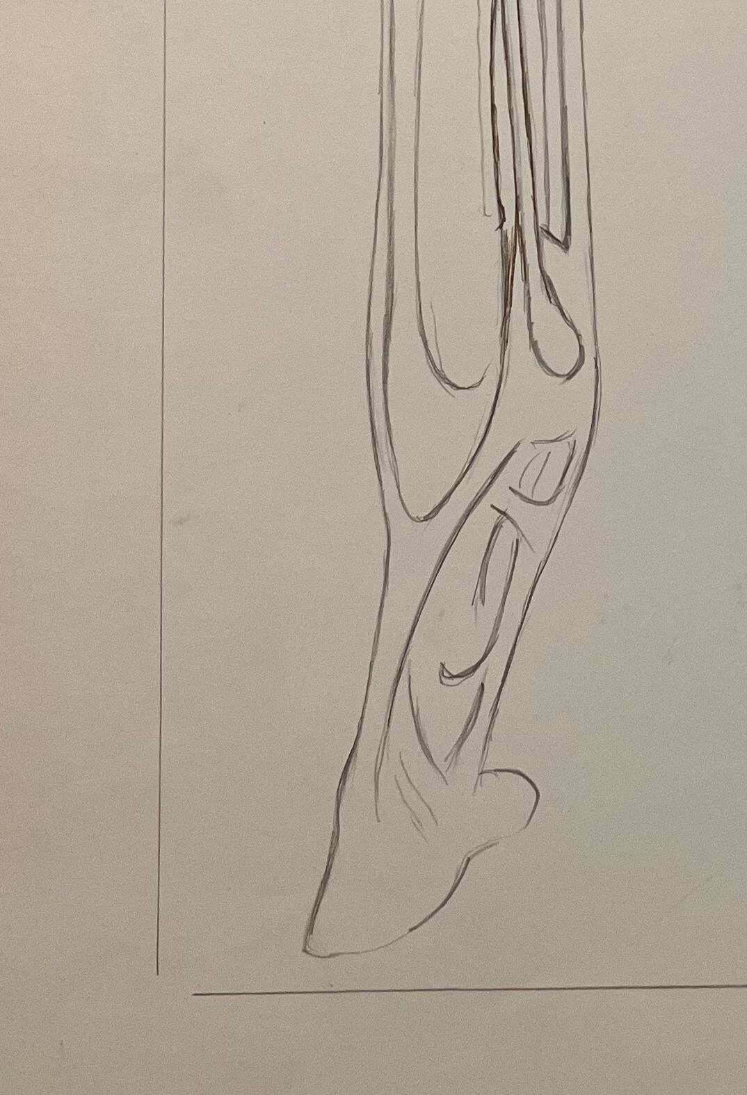 Robert Ladouoriginal French Anatomical Pencil Study Of Horse’s Limb20th Century photo 509.0