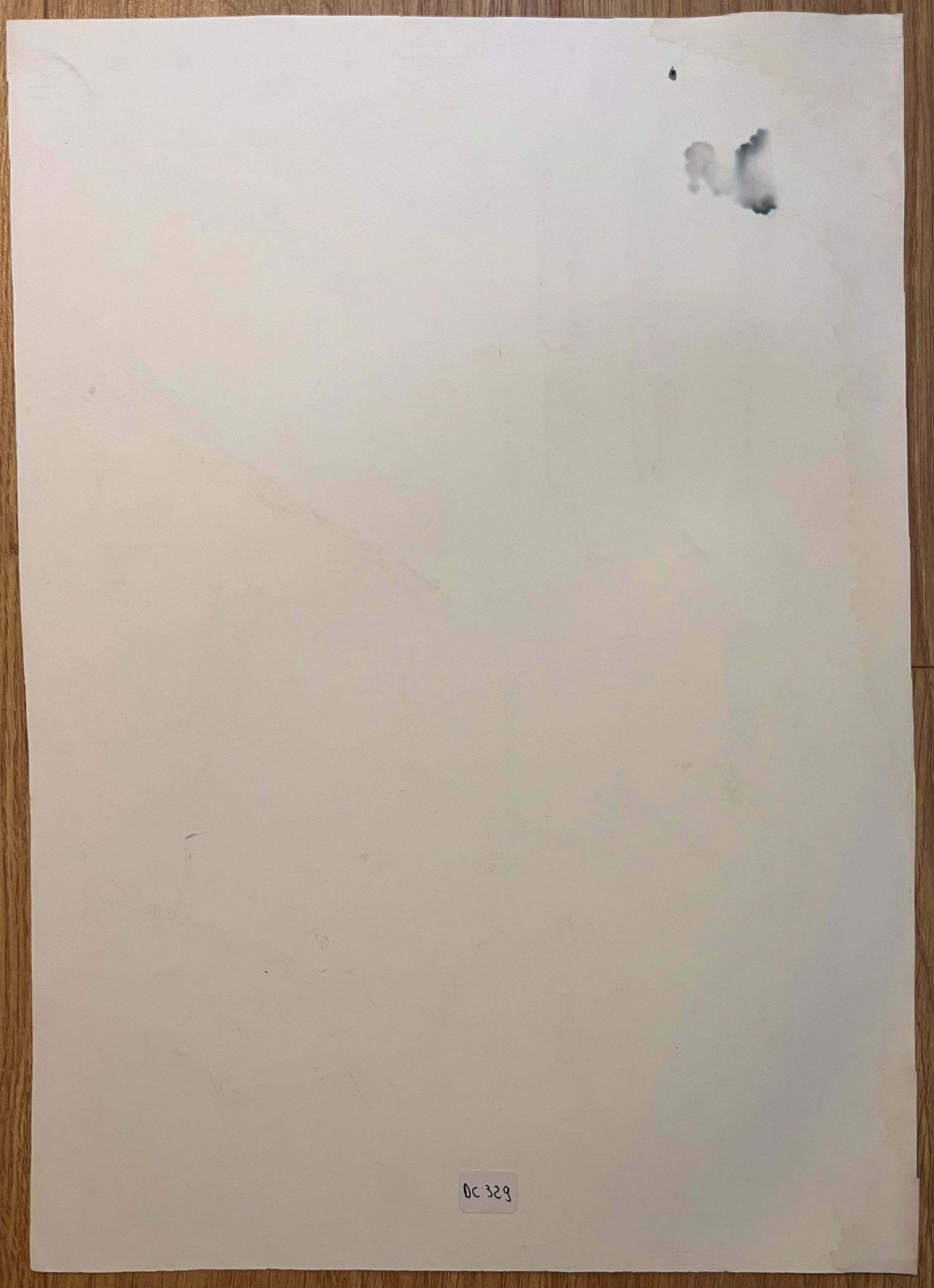 Robert Ladouoriginal French Anatomical Equine Study Of The Role Of Tendons20th Century photo buy