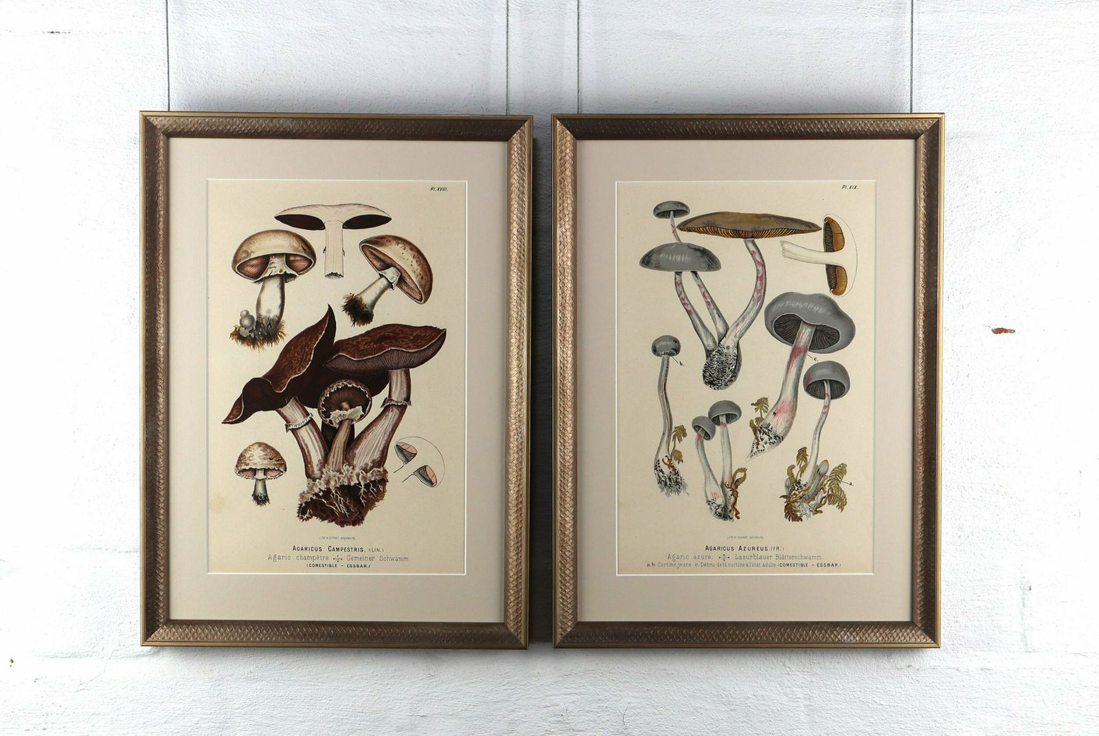 Pair Of Fritz Leuba Mushrooom Lithographs photo furniture