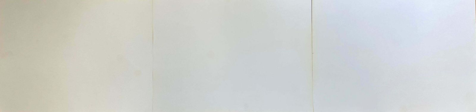 Unknownclassic Bird Color Prints X 3   Beautiful Set Of 3 Classical Birds photo 153.0