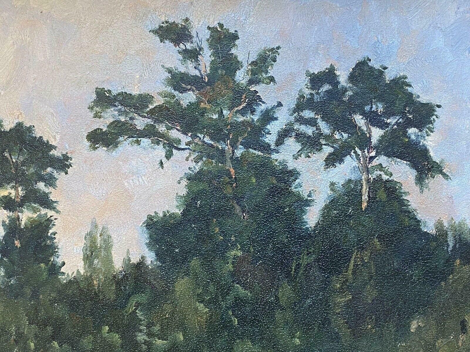 Charles Curtelin (French 1859 1912charles Curtelin (French 1859 1912) En Plein Air Impressionist Oil   Woodlandc. 1890's photo for sale