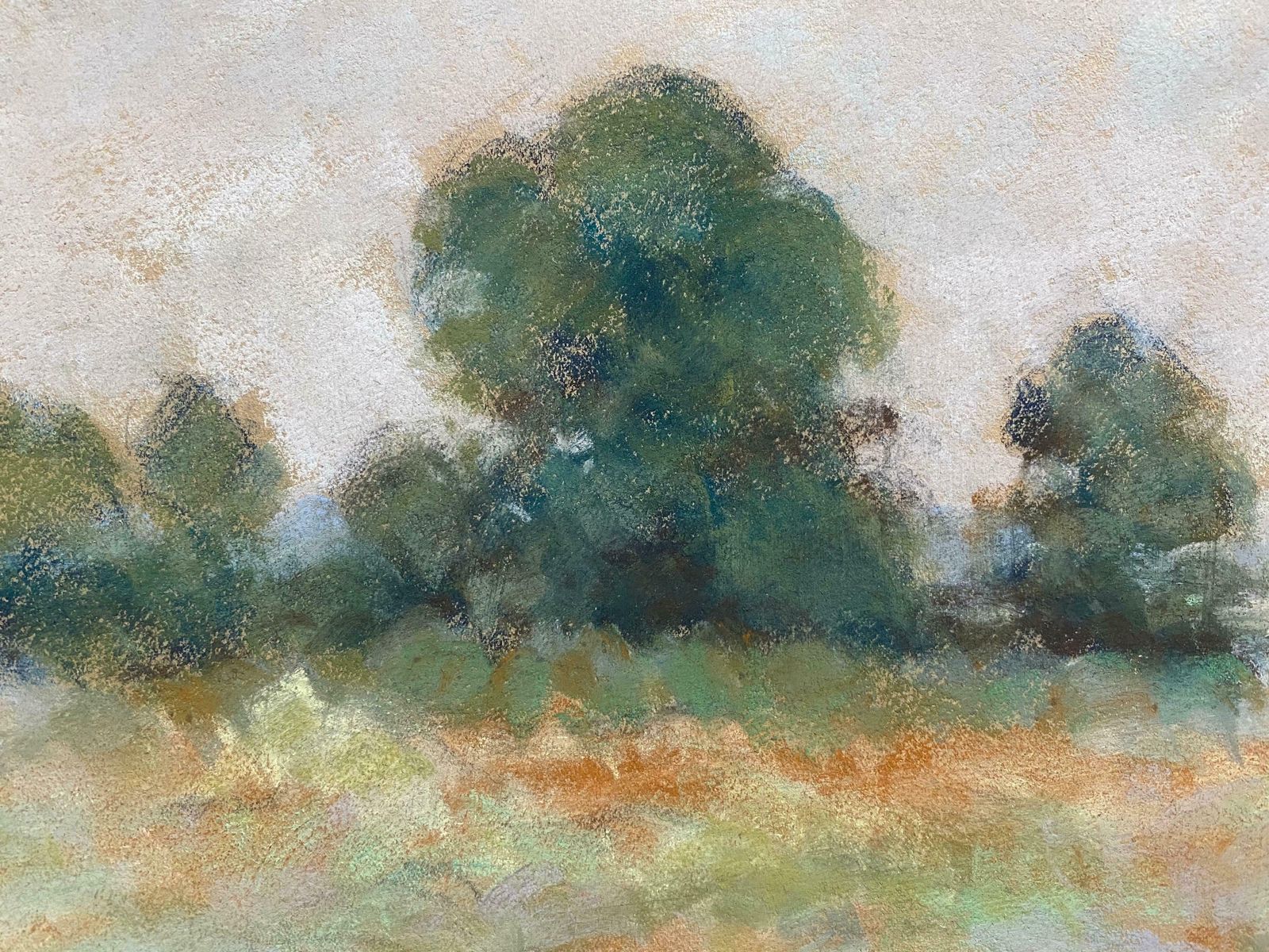 Camille Meriotcamille Meriot French Impressionist Pastel   Green Countryside Fieldsc. 1940's photo for sale