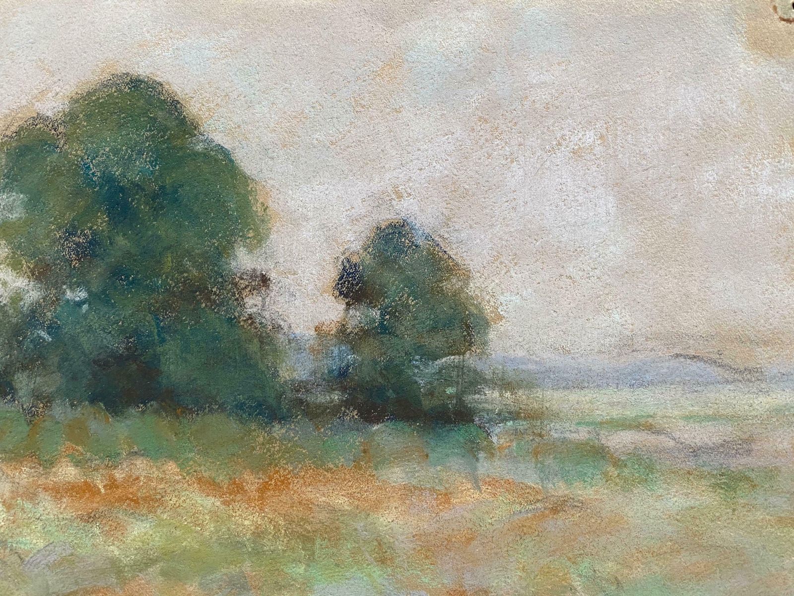 Camille Meriotcamille Meriot French Impressionist Pastel   Green Countryside Fieldsc. 1940's photo Art