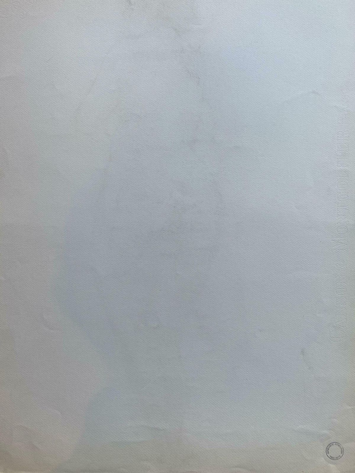 Genevieve Zondervan (1922 2013)mid 20th Century French Charcoal Drawing   Portrait Of A Standing Nude Womenc. 1950's photo for sale