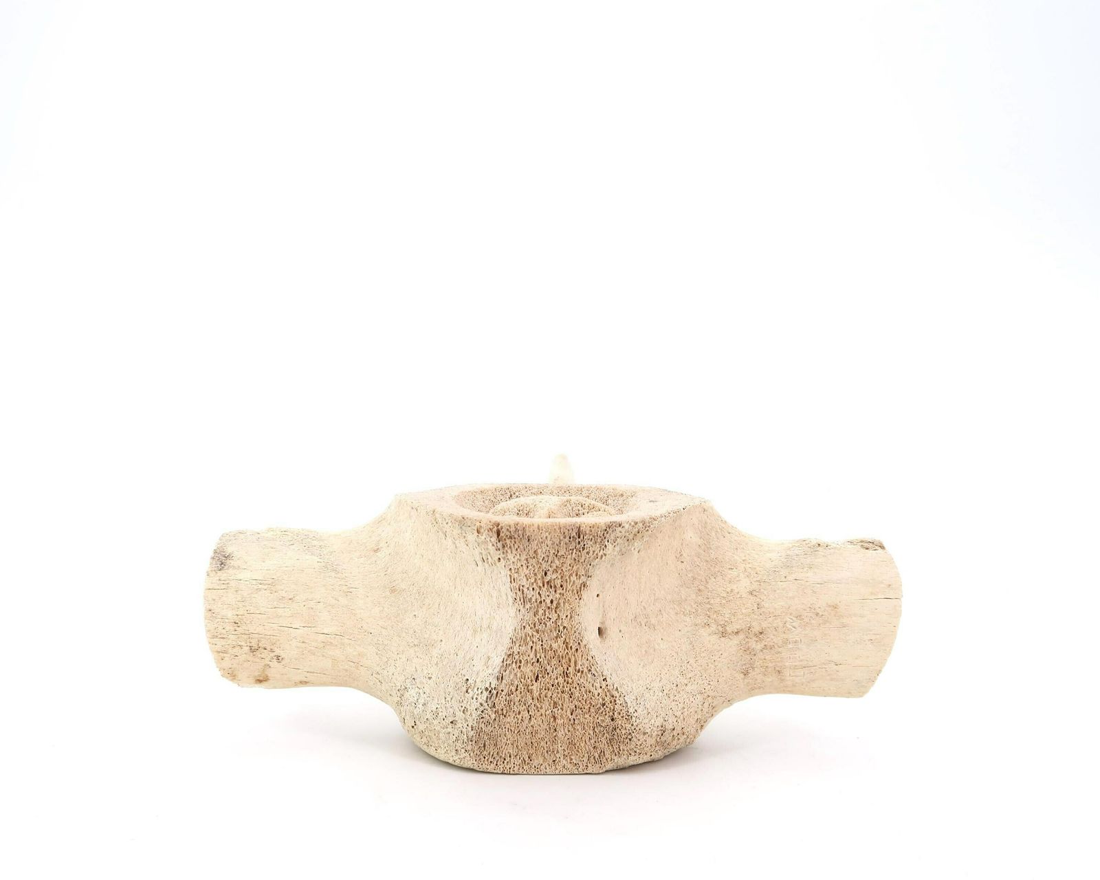 Gesneden Bot, Gesigneerde Kraai, James Colbourne, Sculptuur Jaren 1970 / Inuit Art, Canada, Canadese Kunstenaar, Cabinet Of Curiosity photo buy