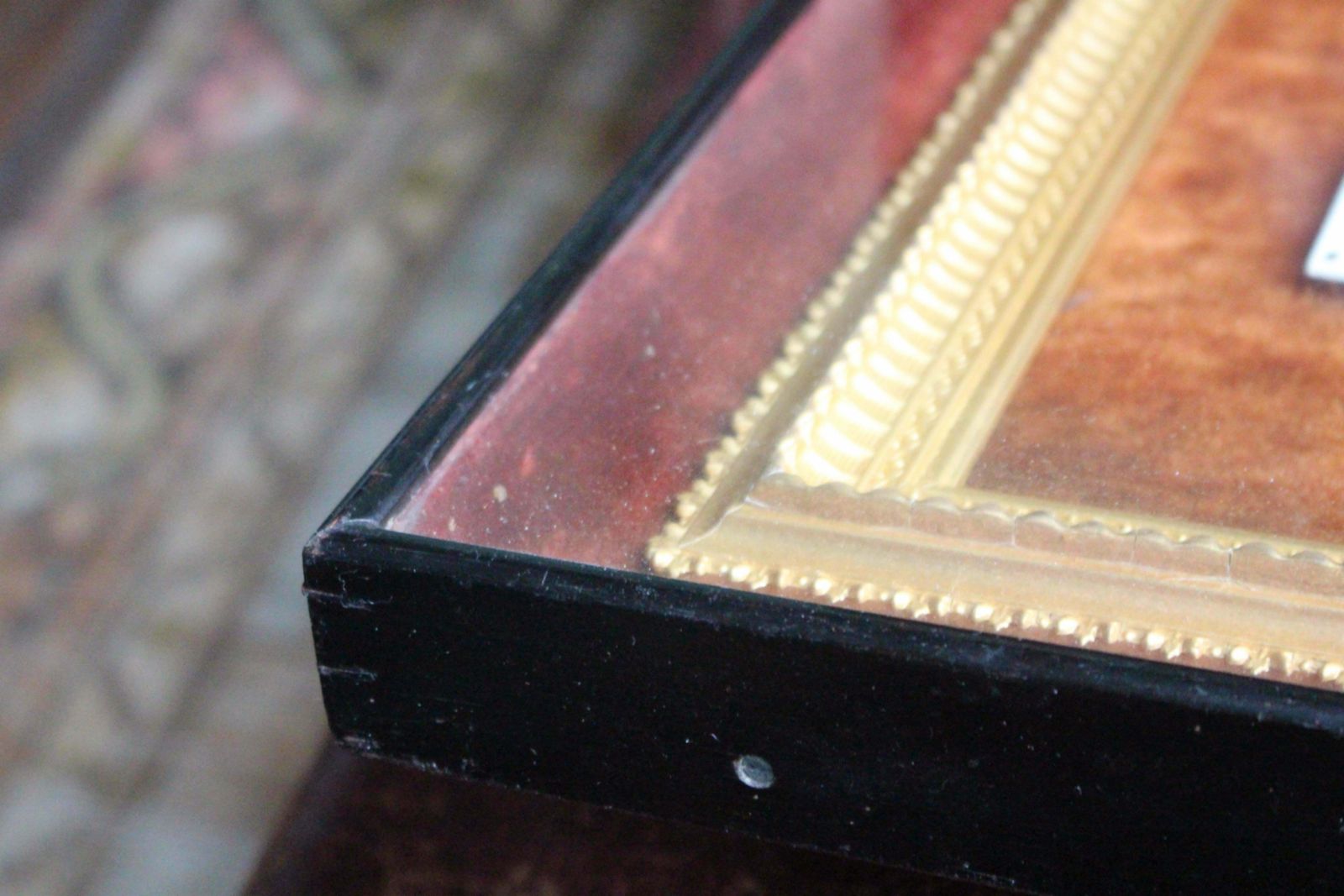 1118.0 19th C Hand Painted Entomology Studies Gothic Revival Shadow Box Taxidermy Curio photo