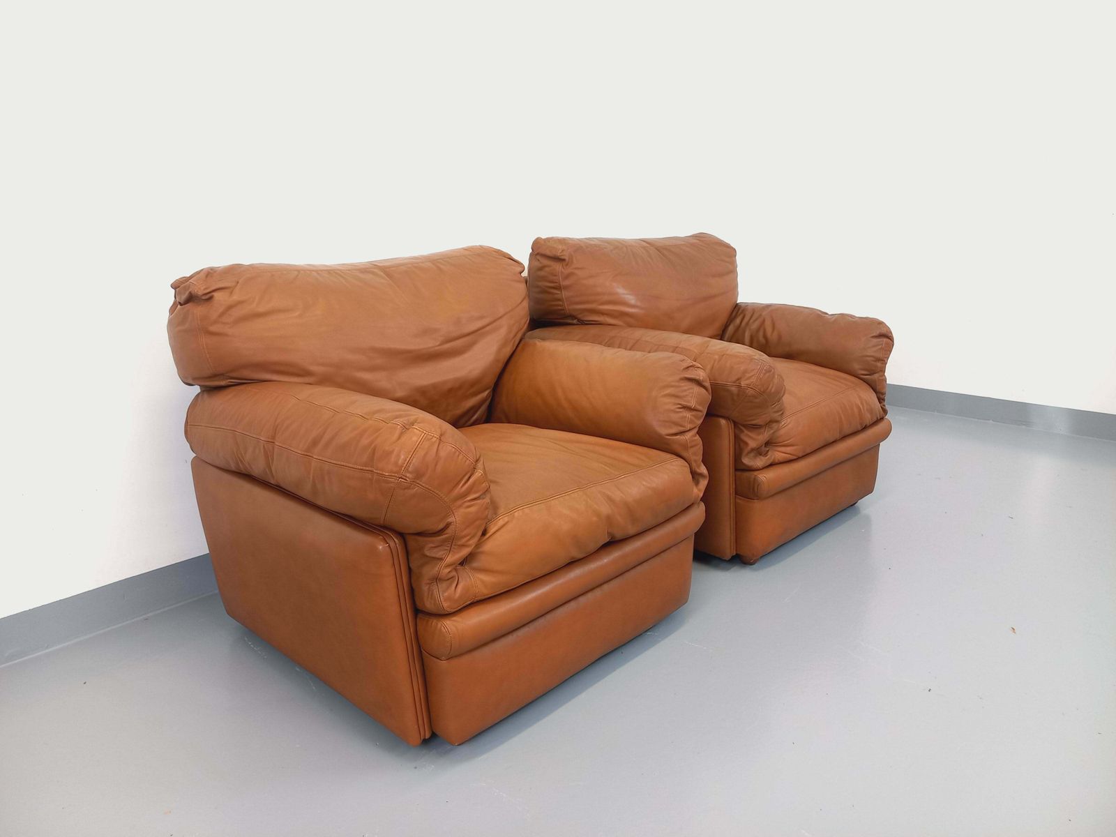 2 Tito Agnoli Coquelicot Armchairs In Leather photo furniture