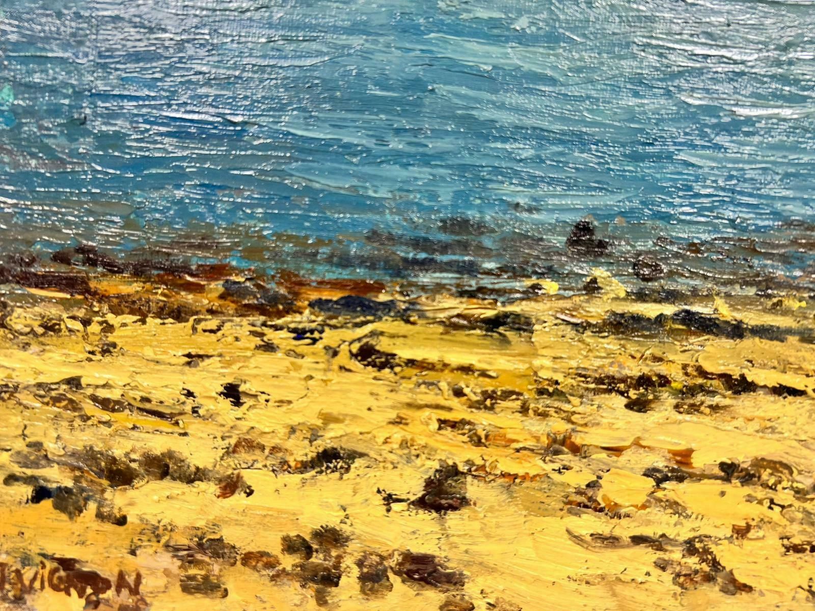 Josine Vignonblue Seas Of The South Coast Brittany French Post Impressionist  Signed Oil 1960's photo Art