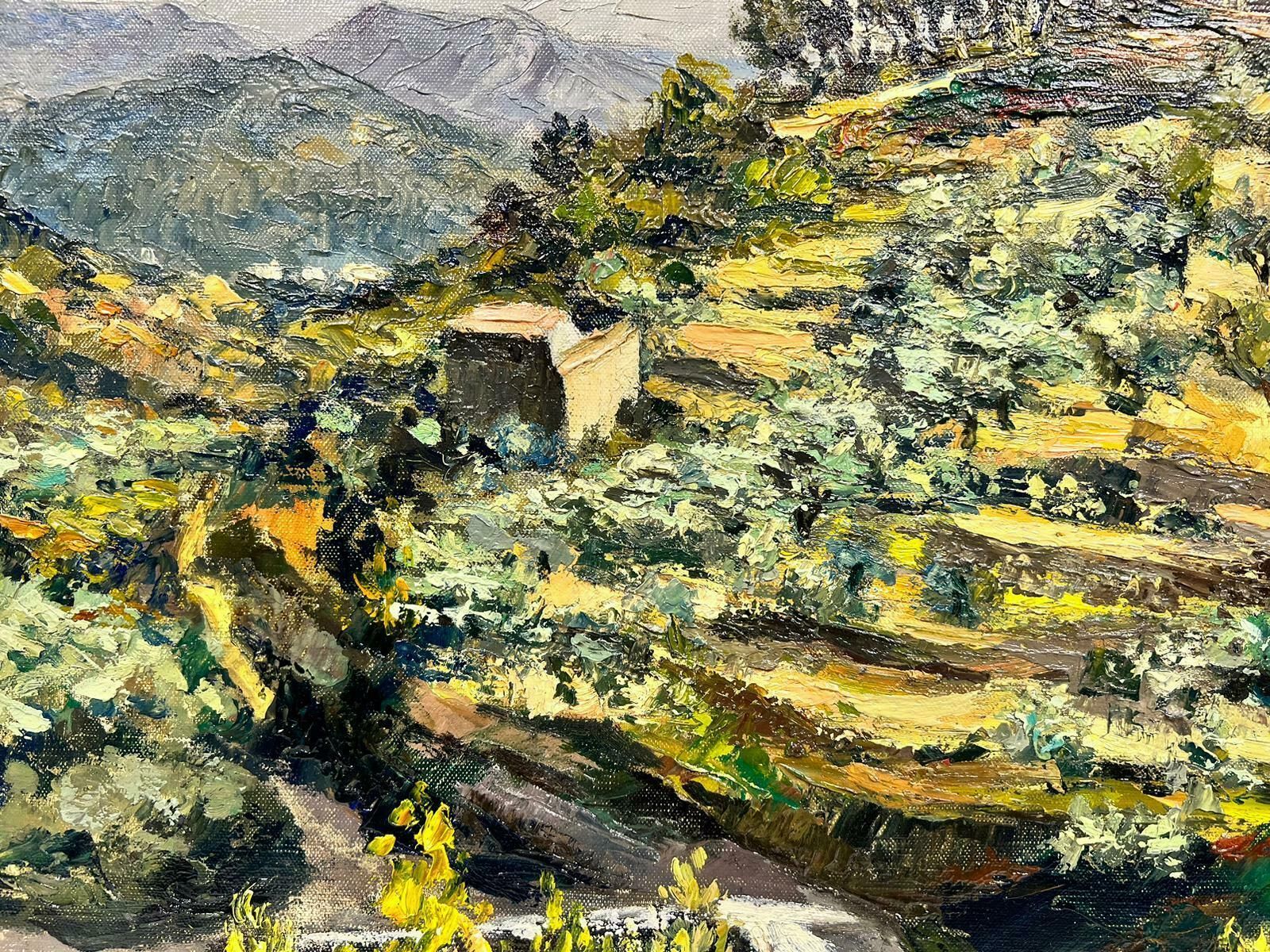 Josine Vignonprovence Landscape Of Scattered Olive Trees Post Impressionist Signed Oil 1960's1960's photo Art