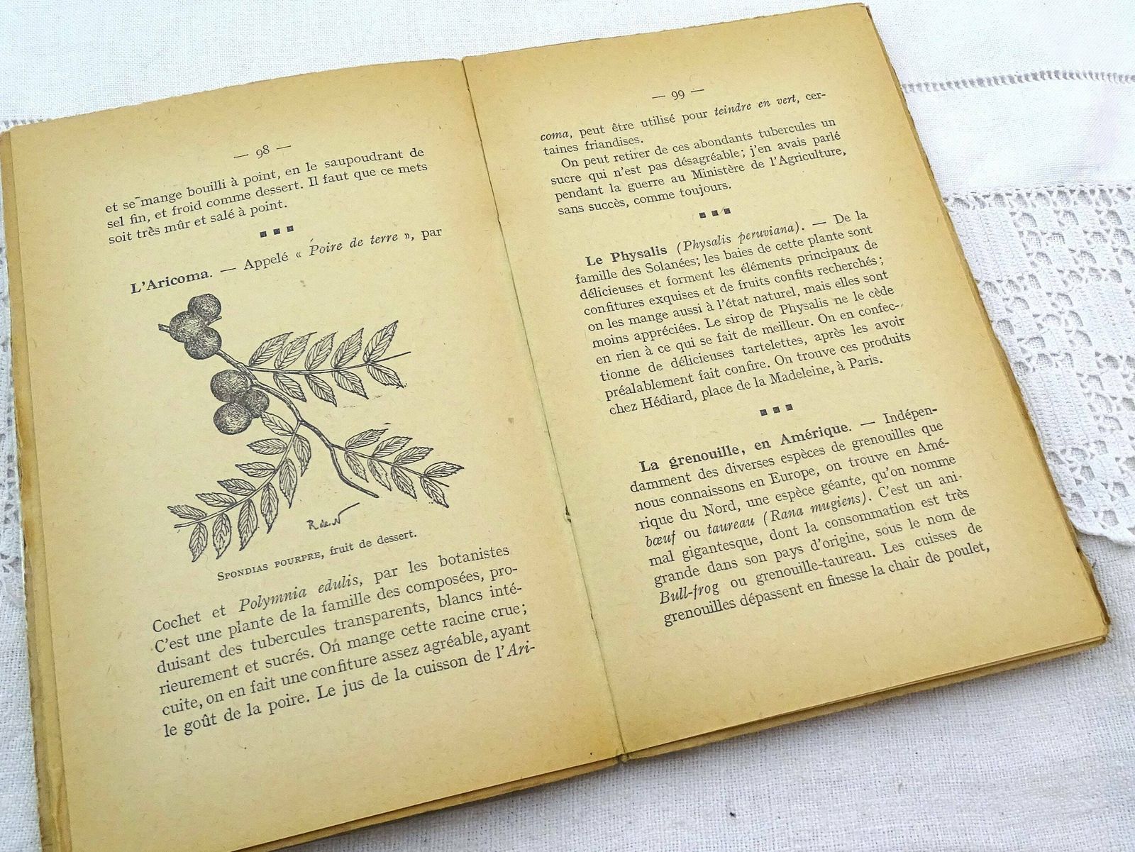 Antiek Frans Kookboek Met 400 Recepten Uit Voormalige Koloniën – La Bonne Cuisine Aux Colonies – Gedrukt In 1931, Geschreven In Het Frans photo 135.0