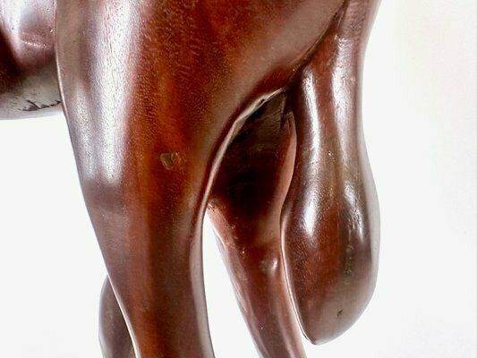 Large Vintage Mahogany Carved Antelope Or Gazelle Floor Sculpture, 20th Century photo 1214.0