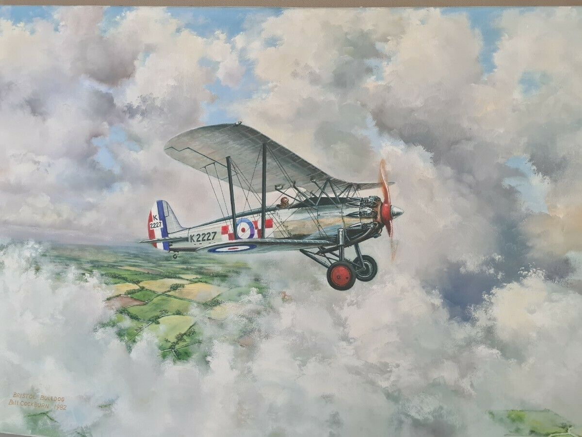 Painting Of A Bristol Bulldog By Bill Cockburn photo vinterior