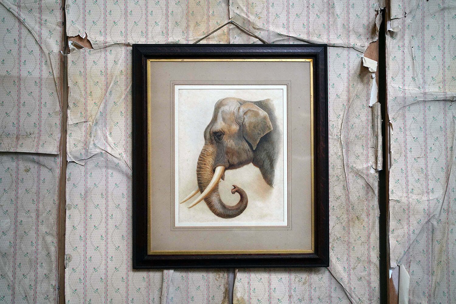 Helena J Maguire (British, 1860 1909); 'Elephant', Watercolour C.1900 07