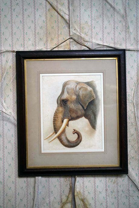 Helena J Maguire (British, 1860 1909); 'Elephant', Watercolour C.1900 07 photo Art