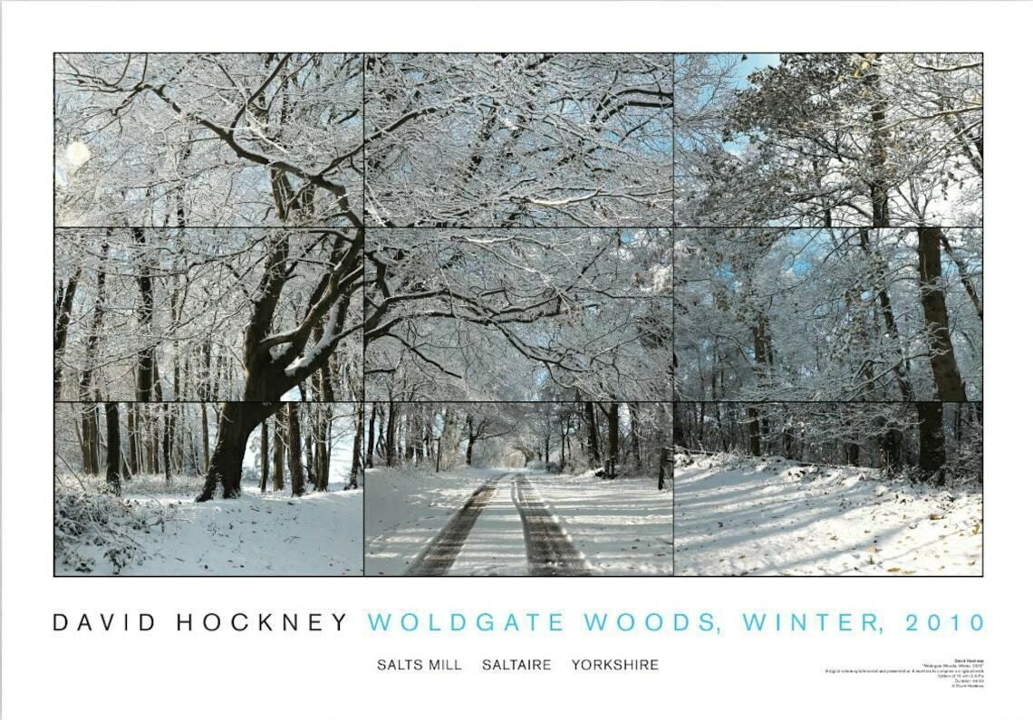 Original David Hockney Exhibition Poster   Woldgate Woods 2010   Authentic Official Print Cubist Video Yorkshire Bridlington