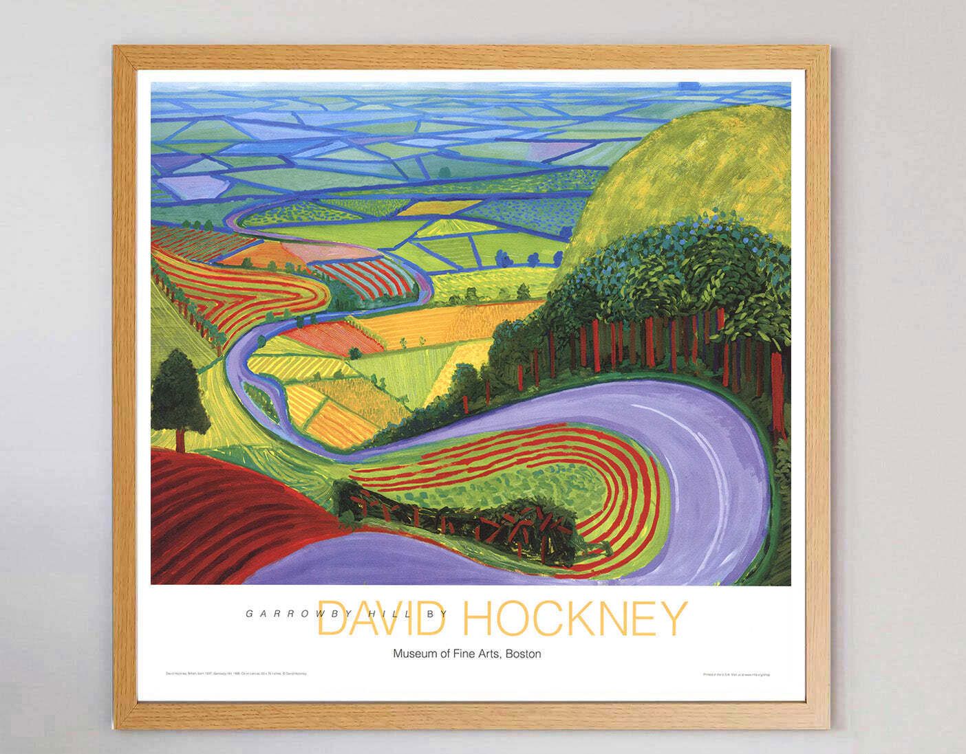 David Hockney   Museum Of Fine Arts Boston , Original Vintage Poster photo Art
