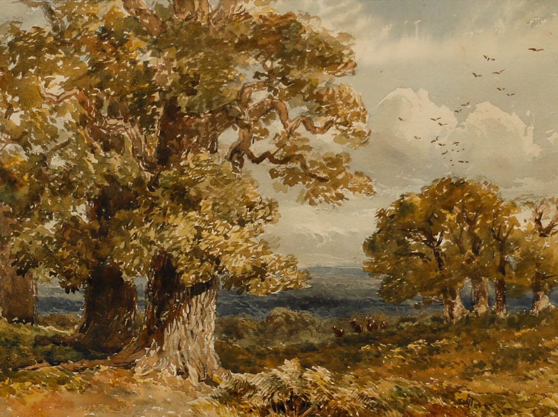 Attrib. William Bennett (1811 1871) Watercolour, Red Deer In Richmond Park photo furniture