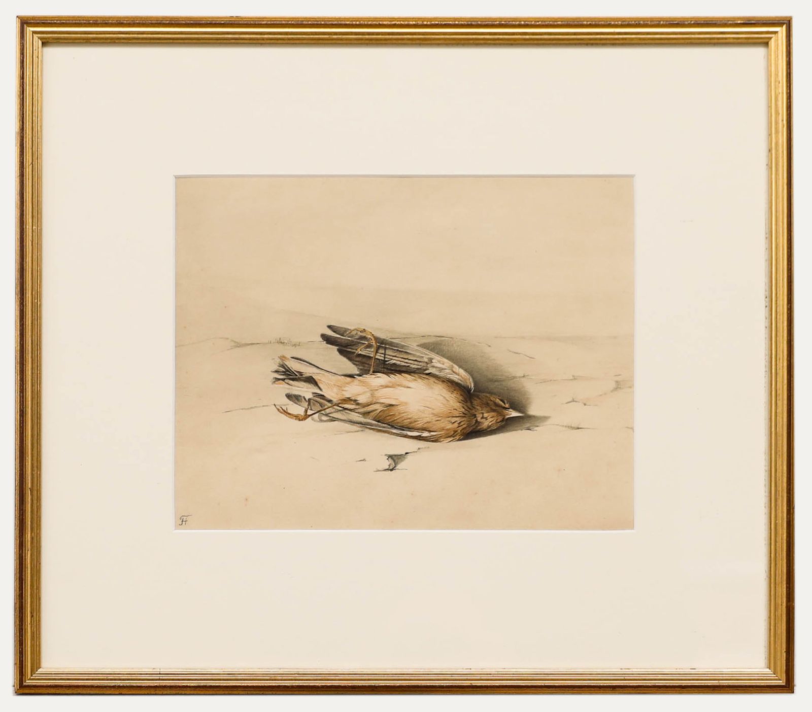 English School Late 19th Century Watercolour Study Of A Dead Bird