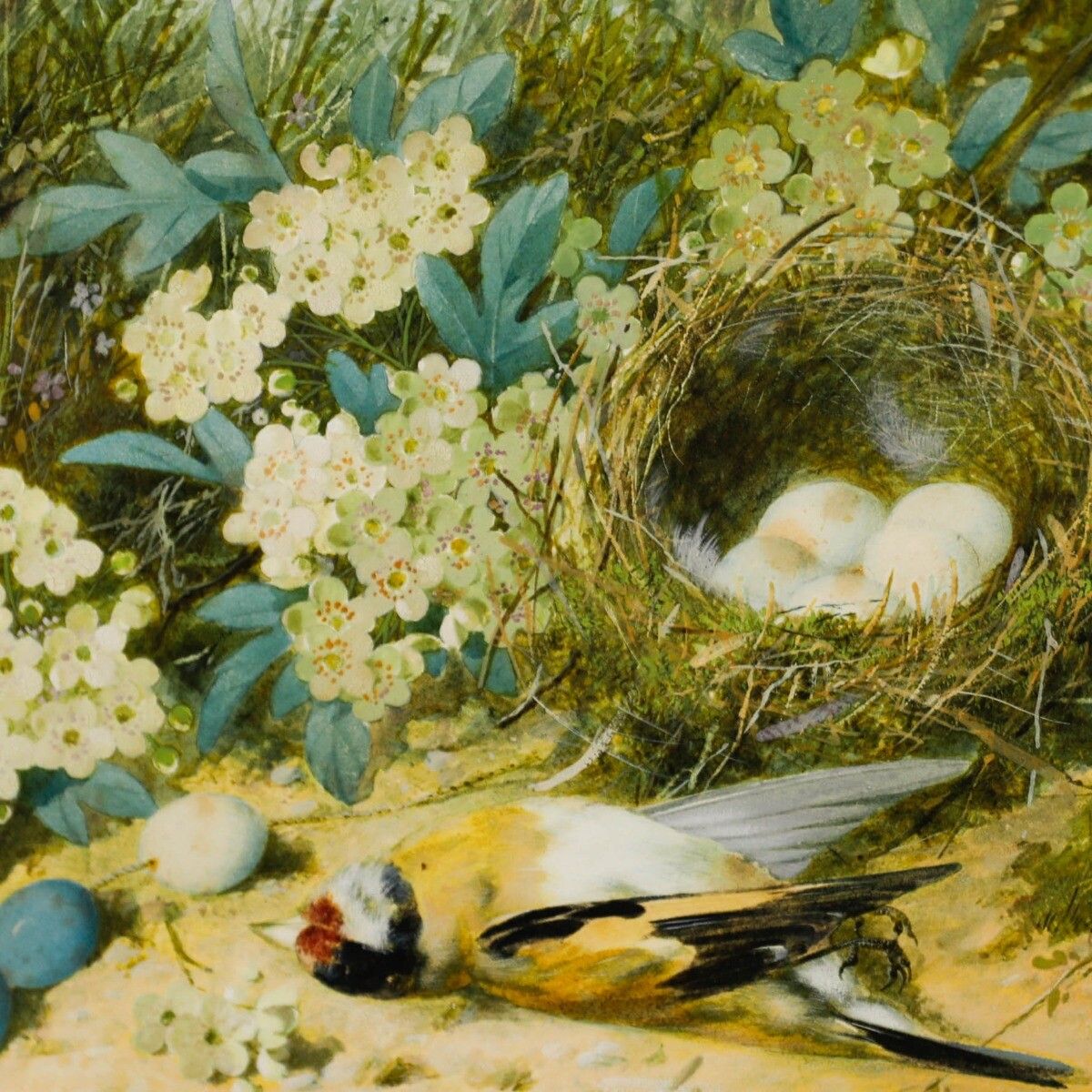 William Cruikshank (1848 1922) Late 19th Century Watercolour, Goldfinch Nest photo for sale