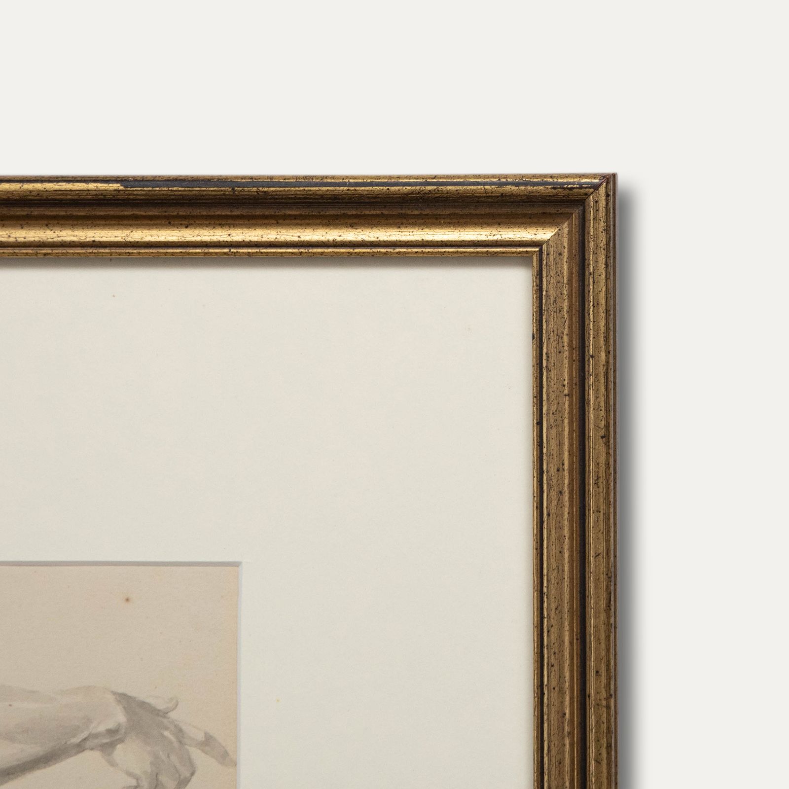 Framed 19th Century Watercolour Anatomical Study Of An Arm photo 122.0