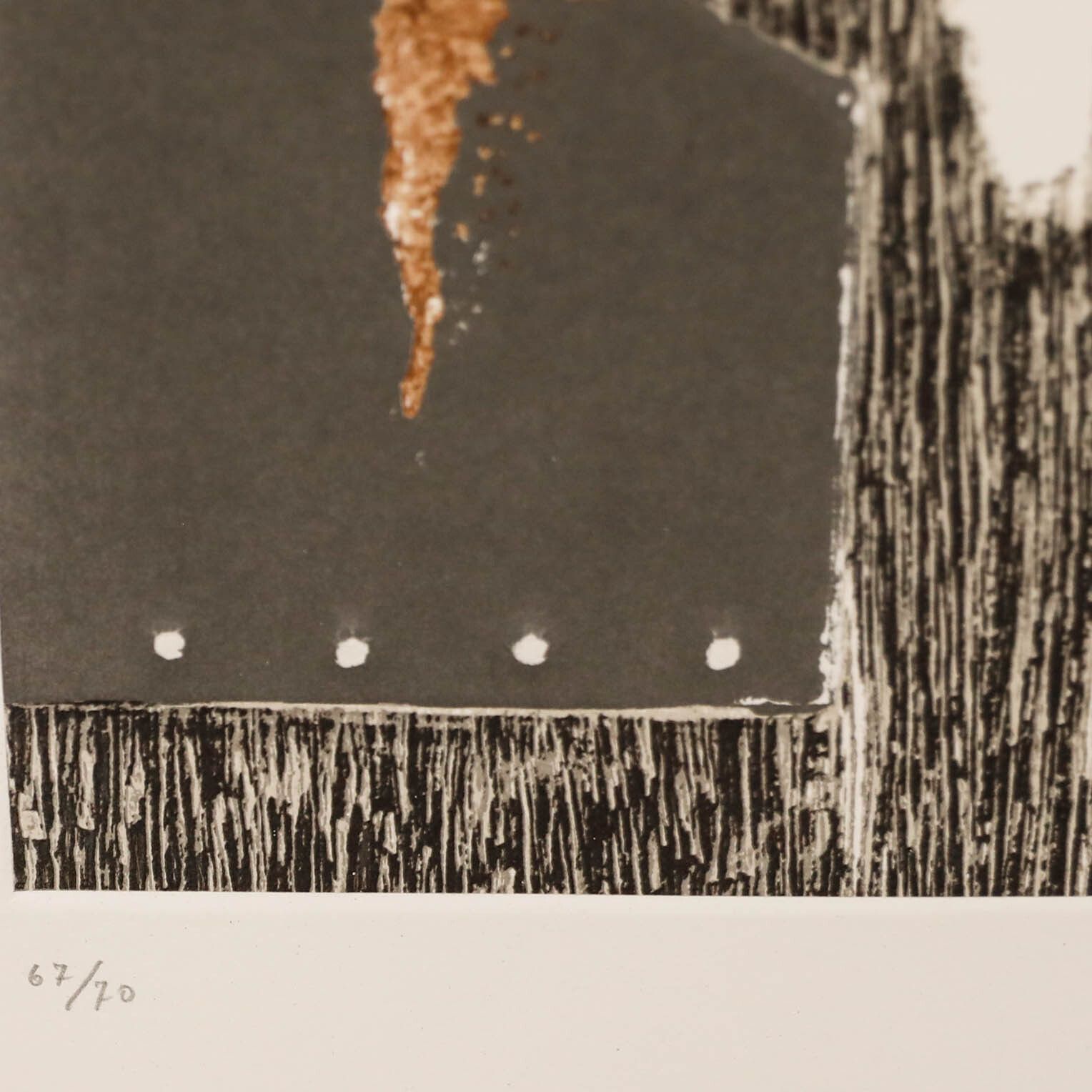 C. Coviq 20th Century Collagraph, Corrosion photo for sale