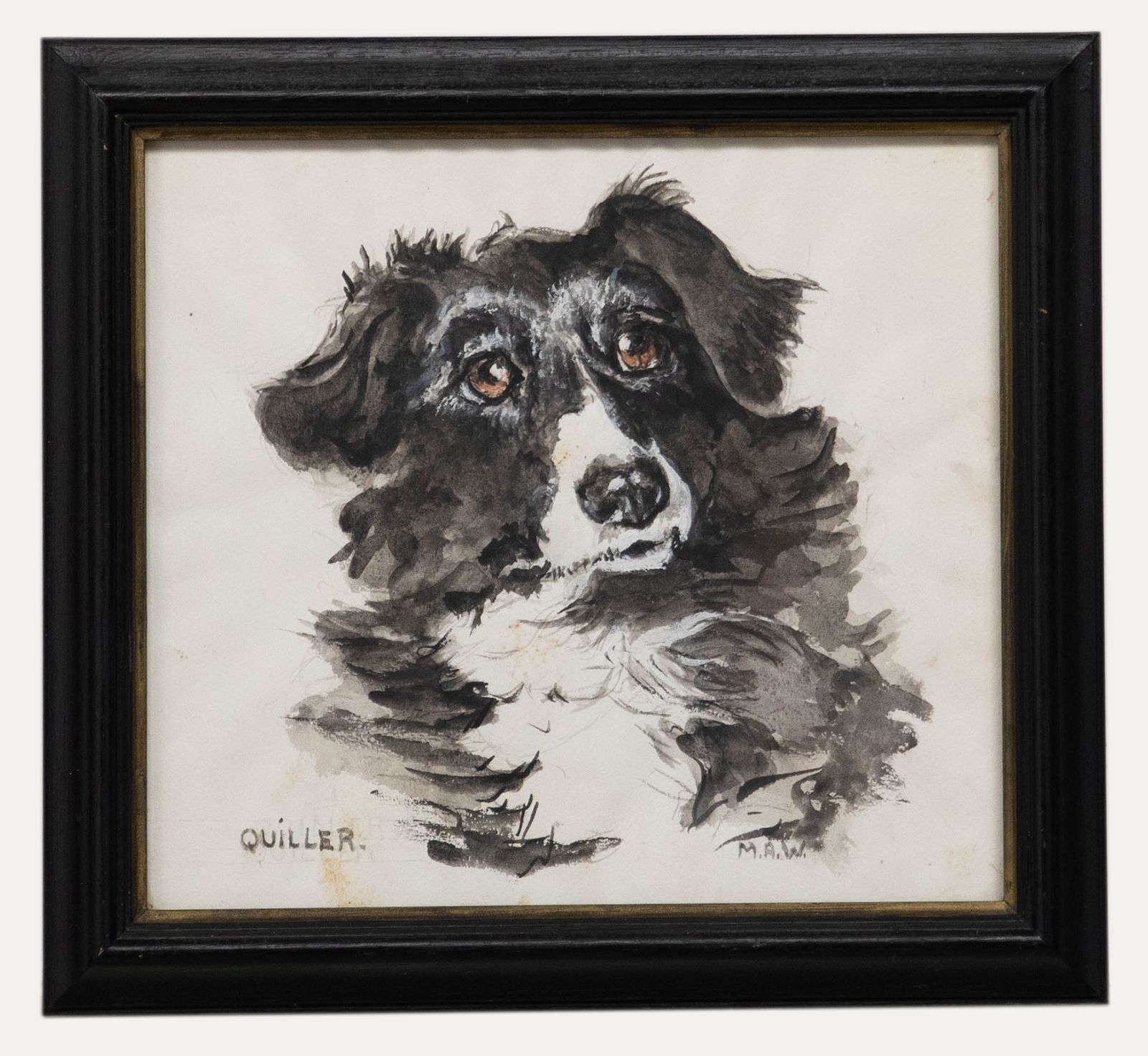 M.A.W Framed 20th Century Watercolour, Quiller The Border Collie