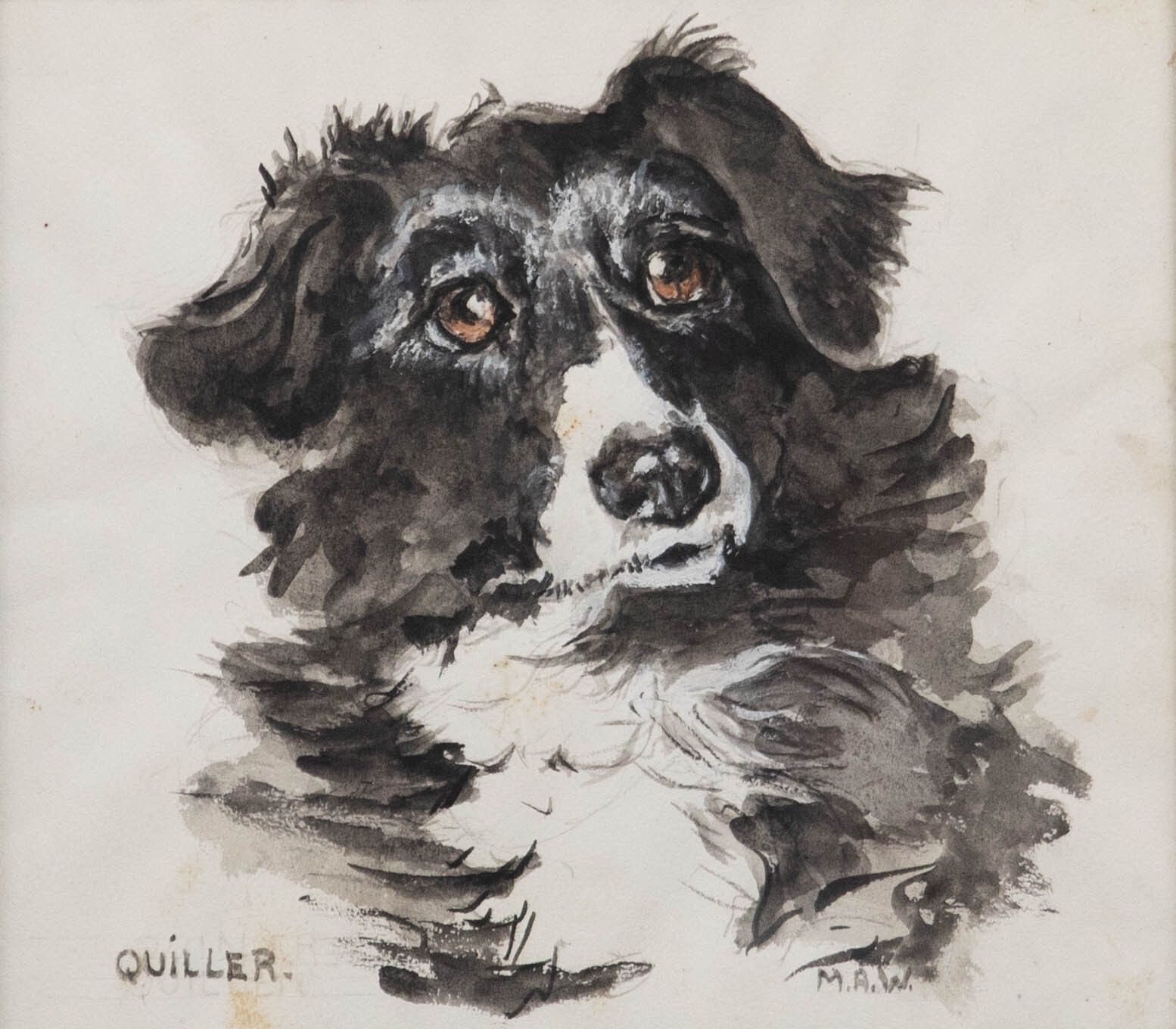 M.A.W Framed 20th Century Watercolour, Quiller The Border Collie photo furniture